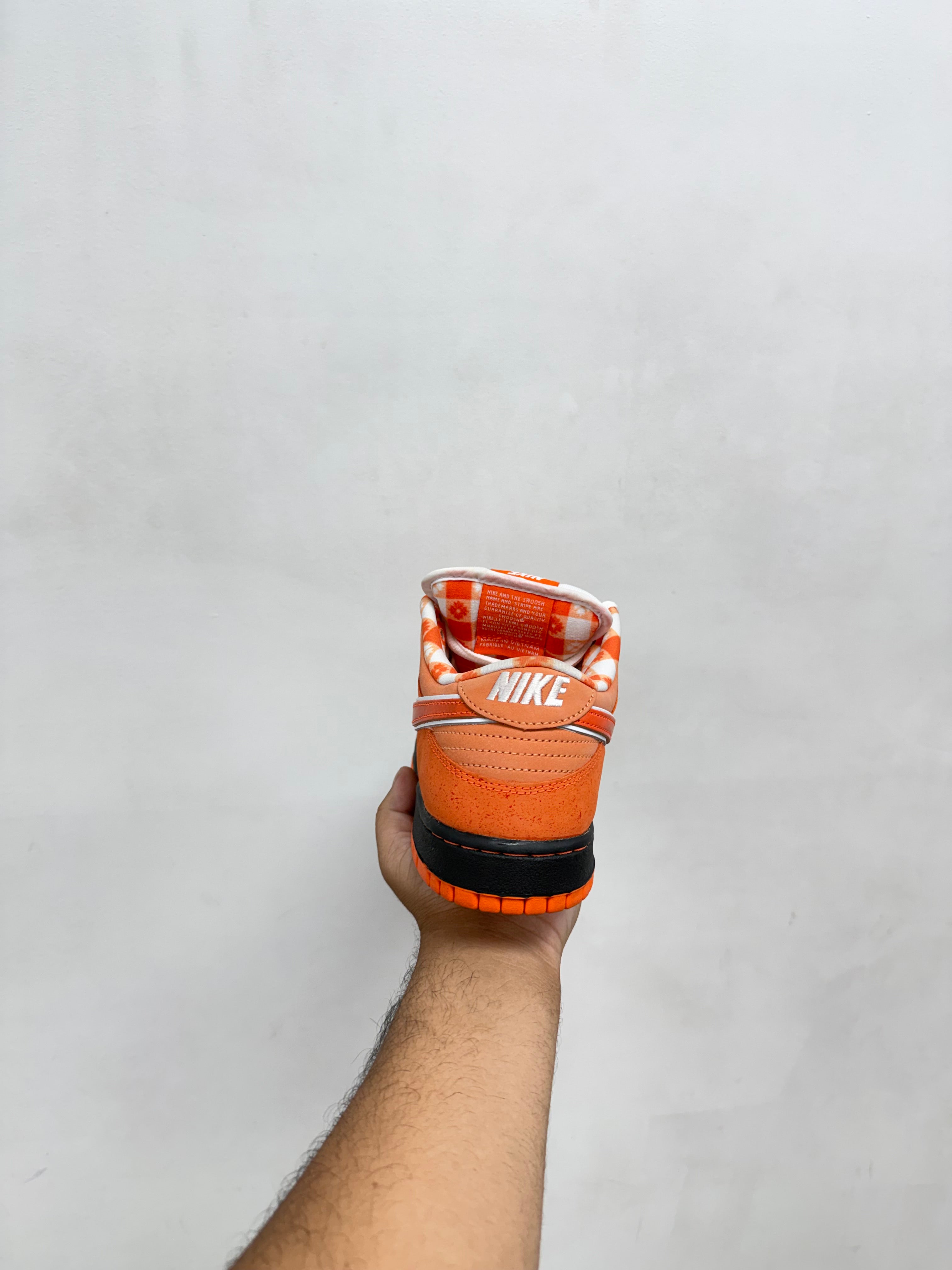 Nike SB Dunk Low Orange Lobster Sneakers