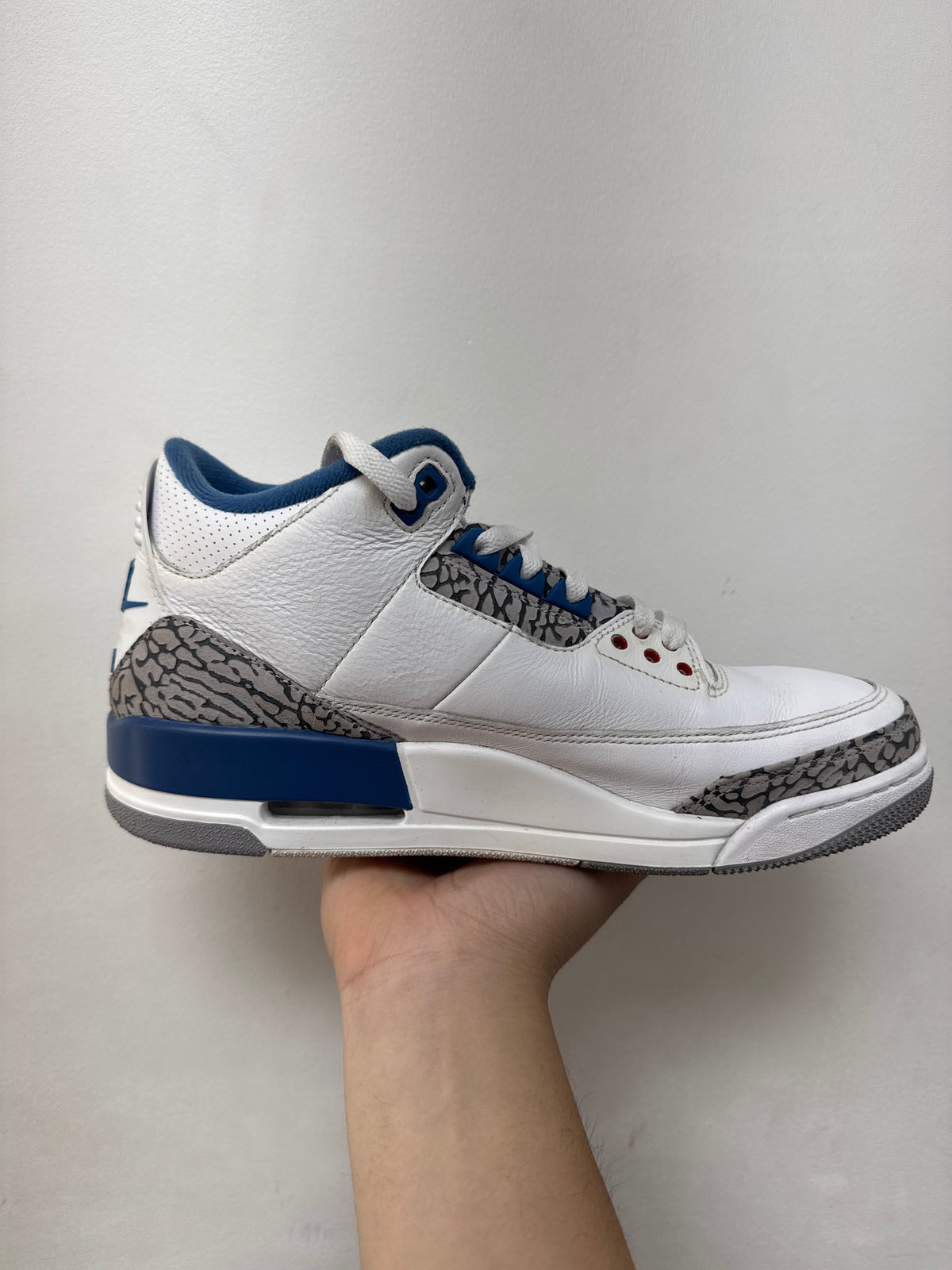 Jordan 3 True Blue Sneakers