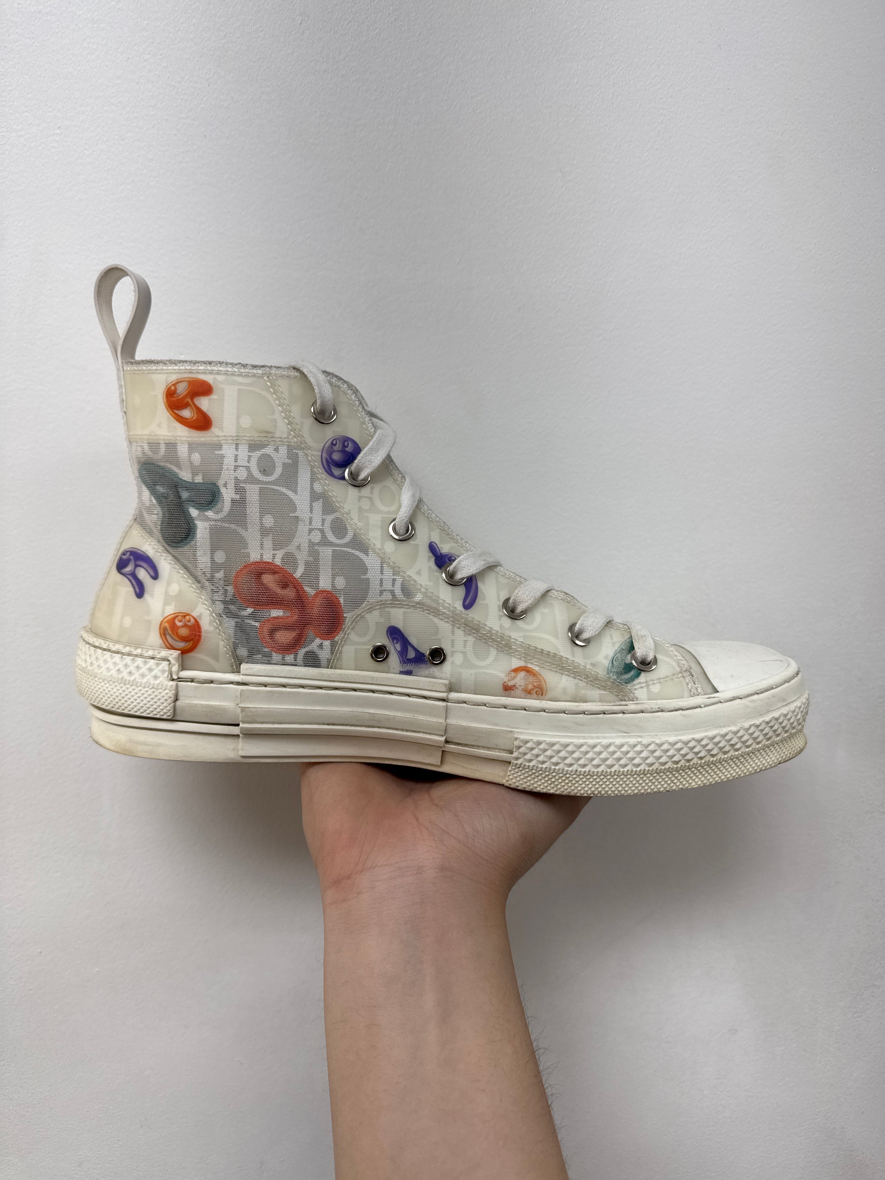 Dior Peter Doig B23 High Sneakers