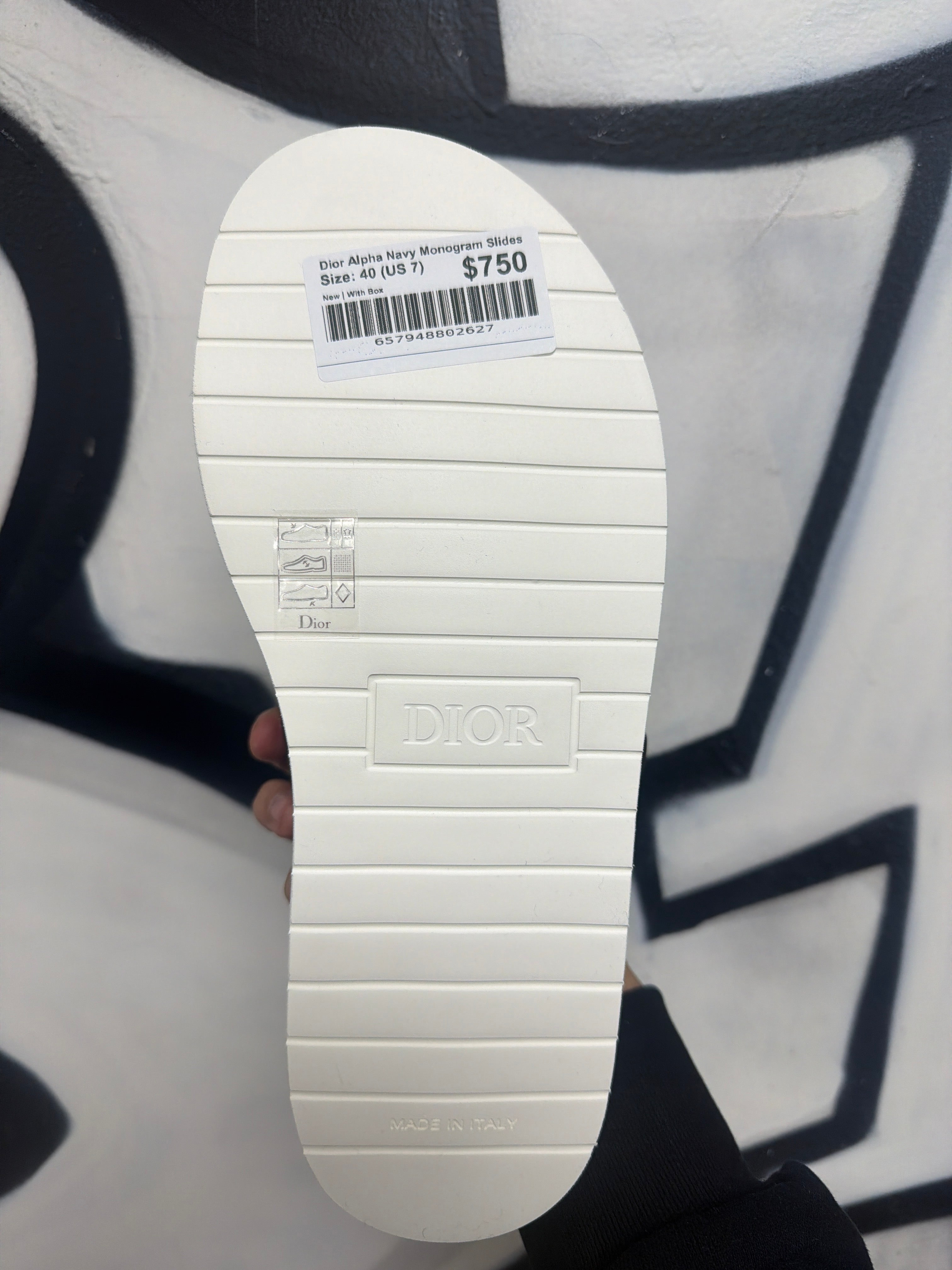 Dior Alpha Navy Monogram Slides