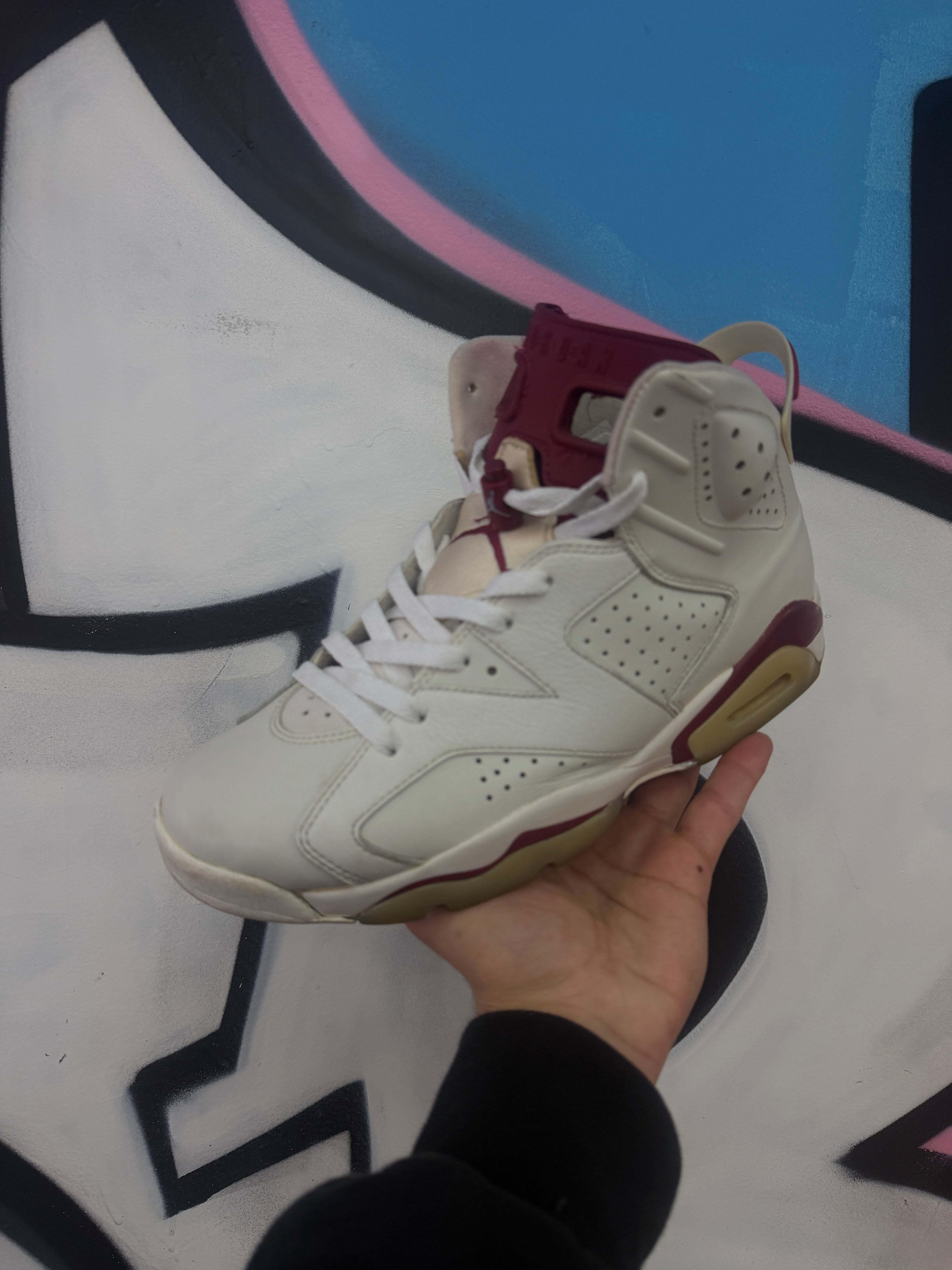 Nike Jordan 6 Maroon Sneakers