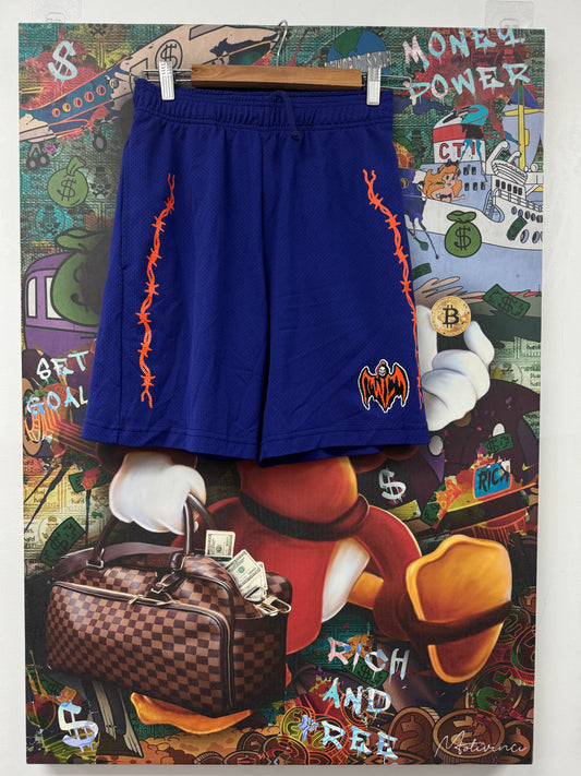 Warren Lotas Mesh Shorts Purple Orange Used Small N/A