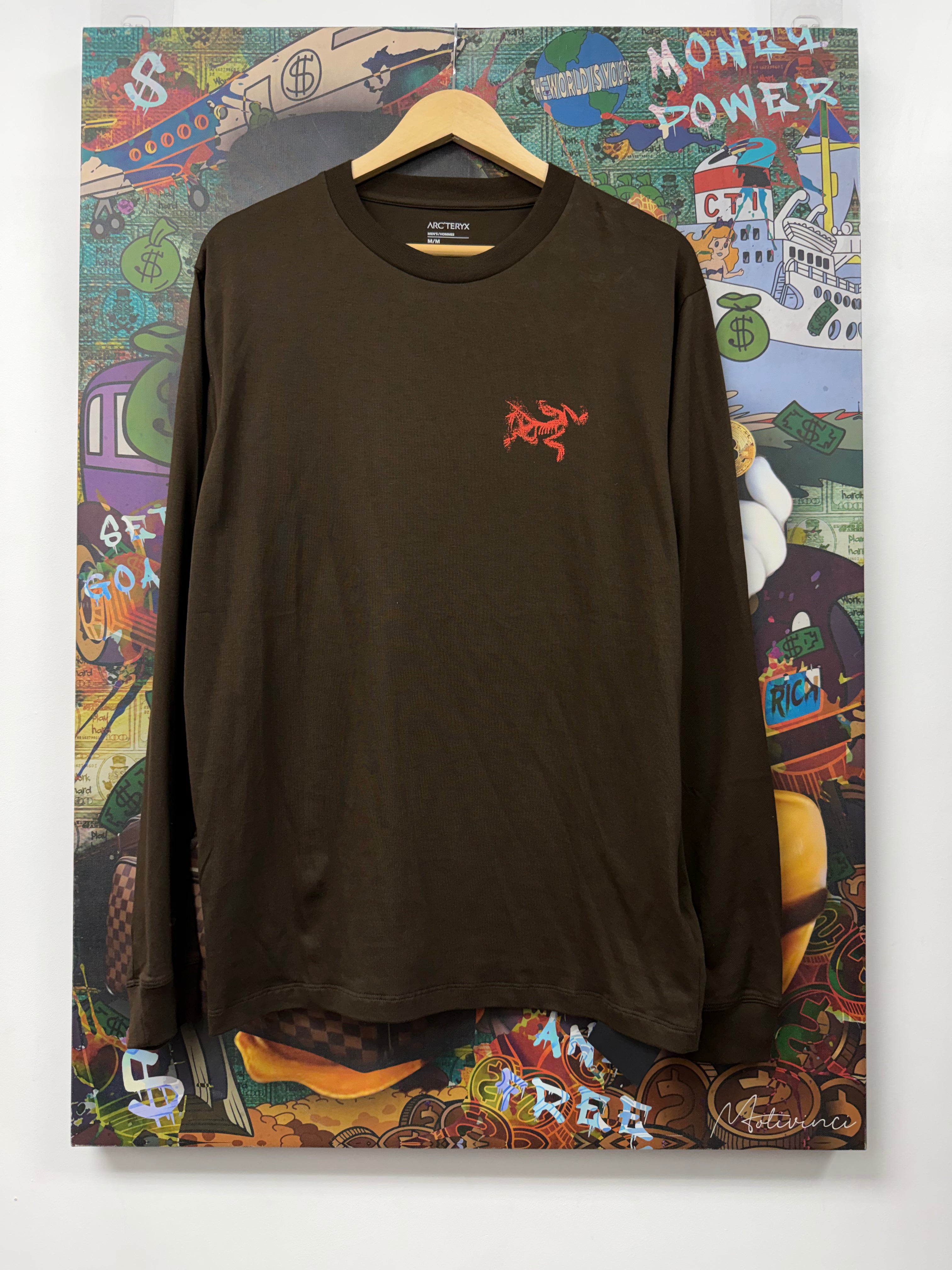 Arcteryx Kragg Brown LS Tee