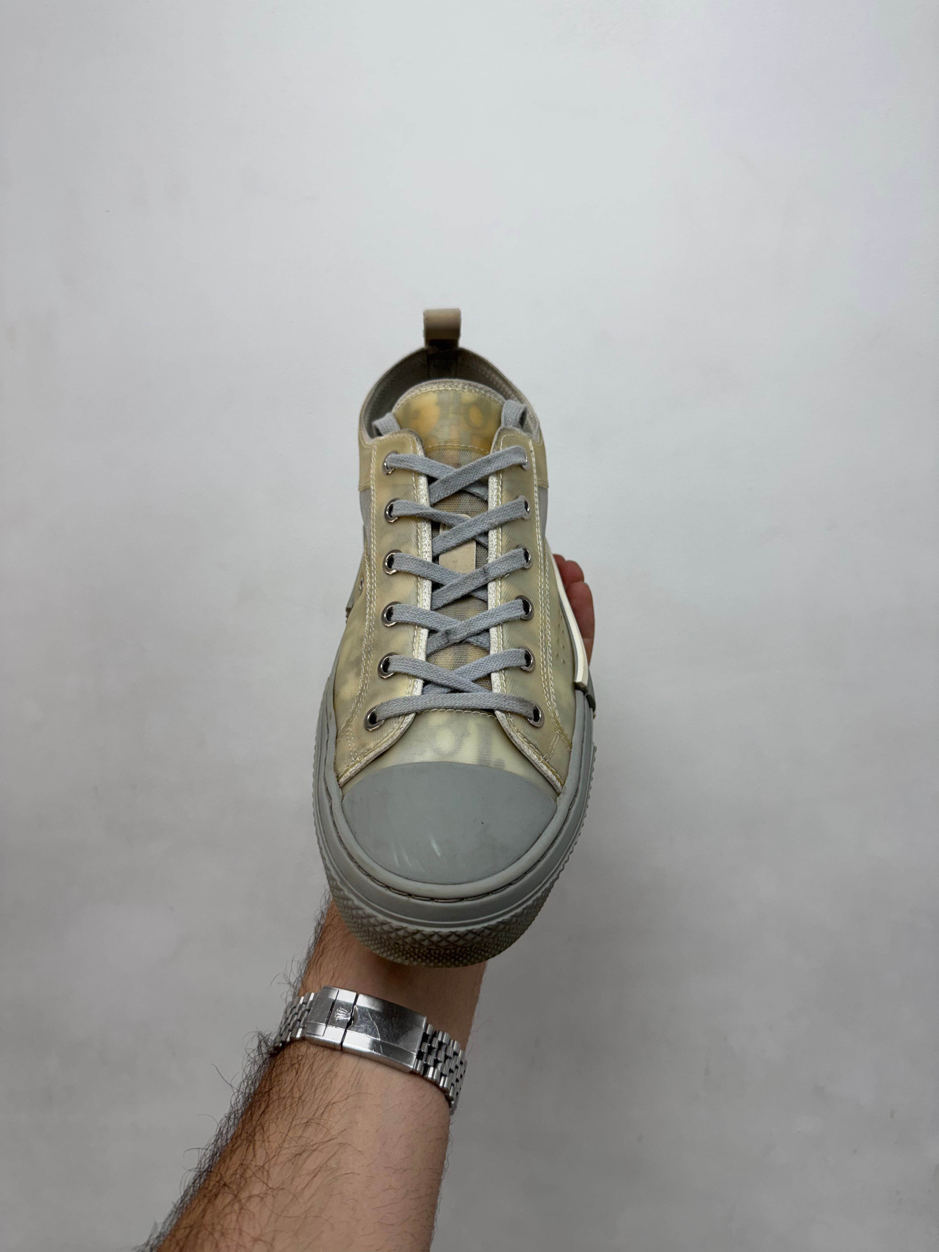 Dior Grey B23 Low Sneakers
