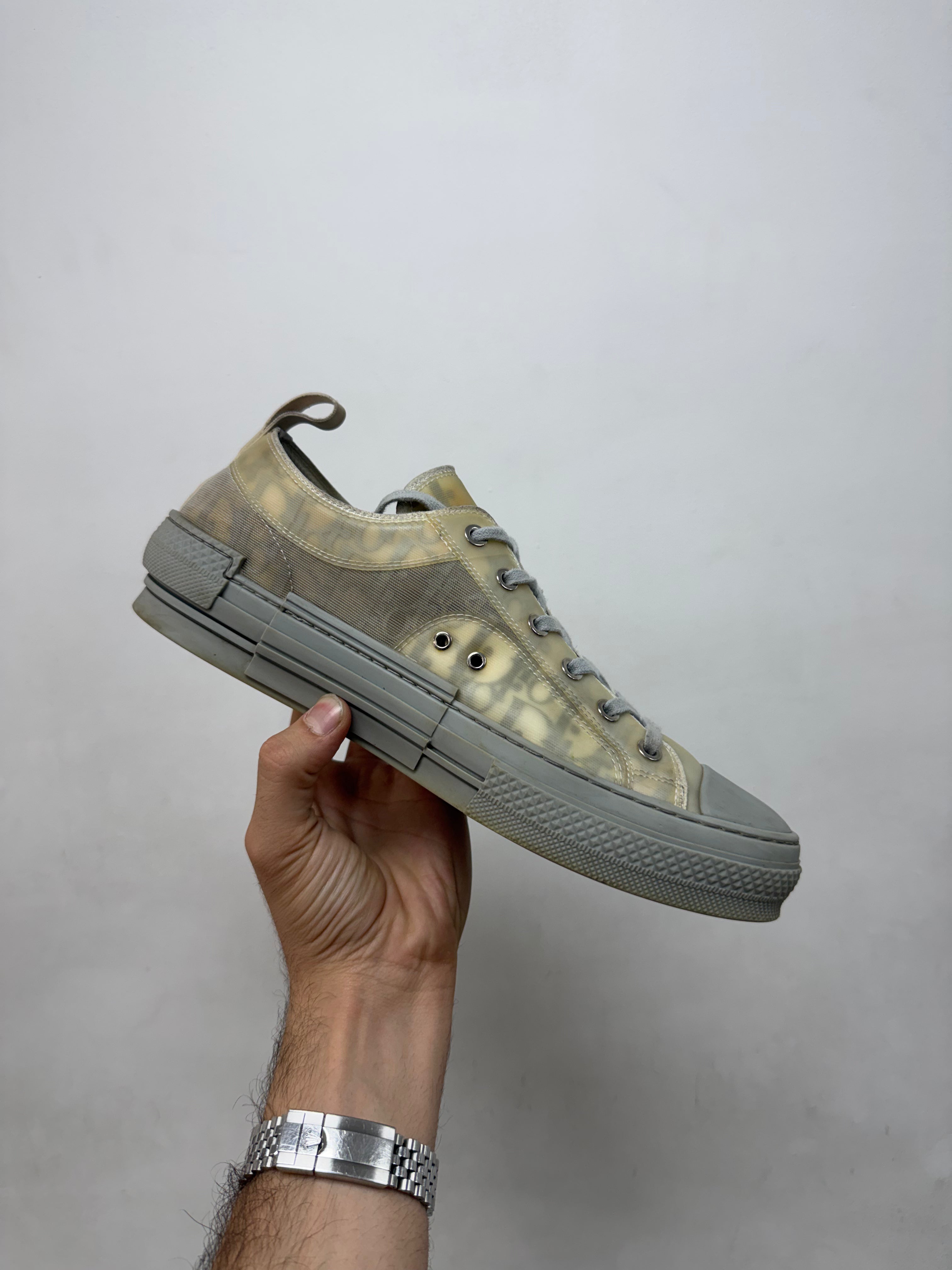 Dior Grey B23 Low Sneakers