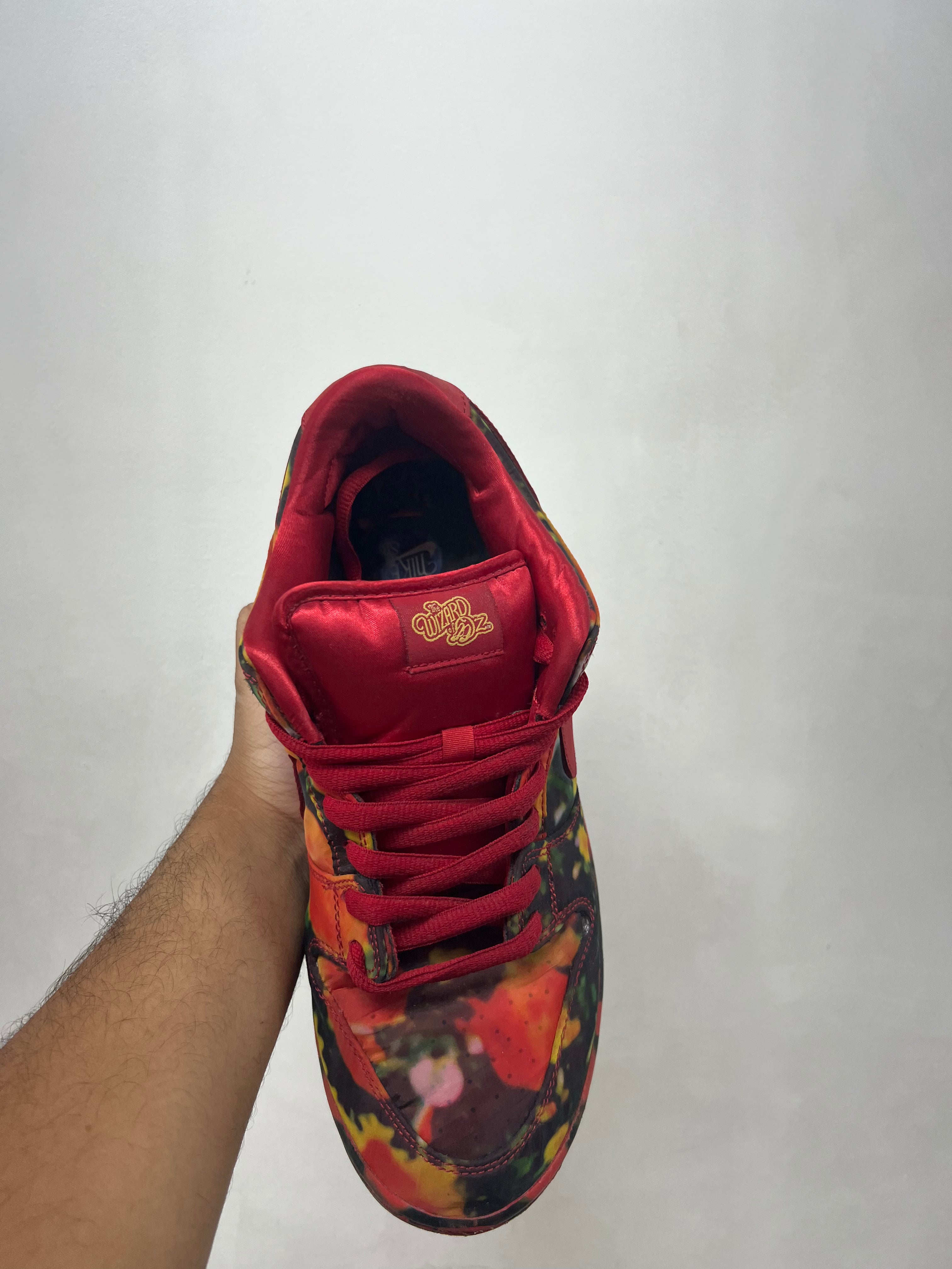 Nike Dunk Low Wizard of OZ Sneakers