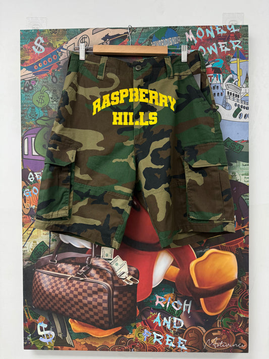 GV Gallery Raspberry Hill Camo Shorts New Medium (32-34) In Plastic