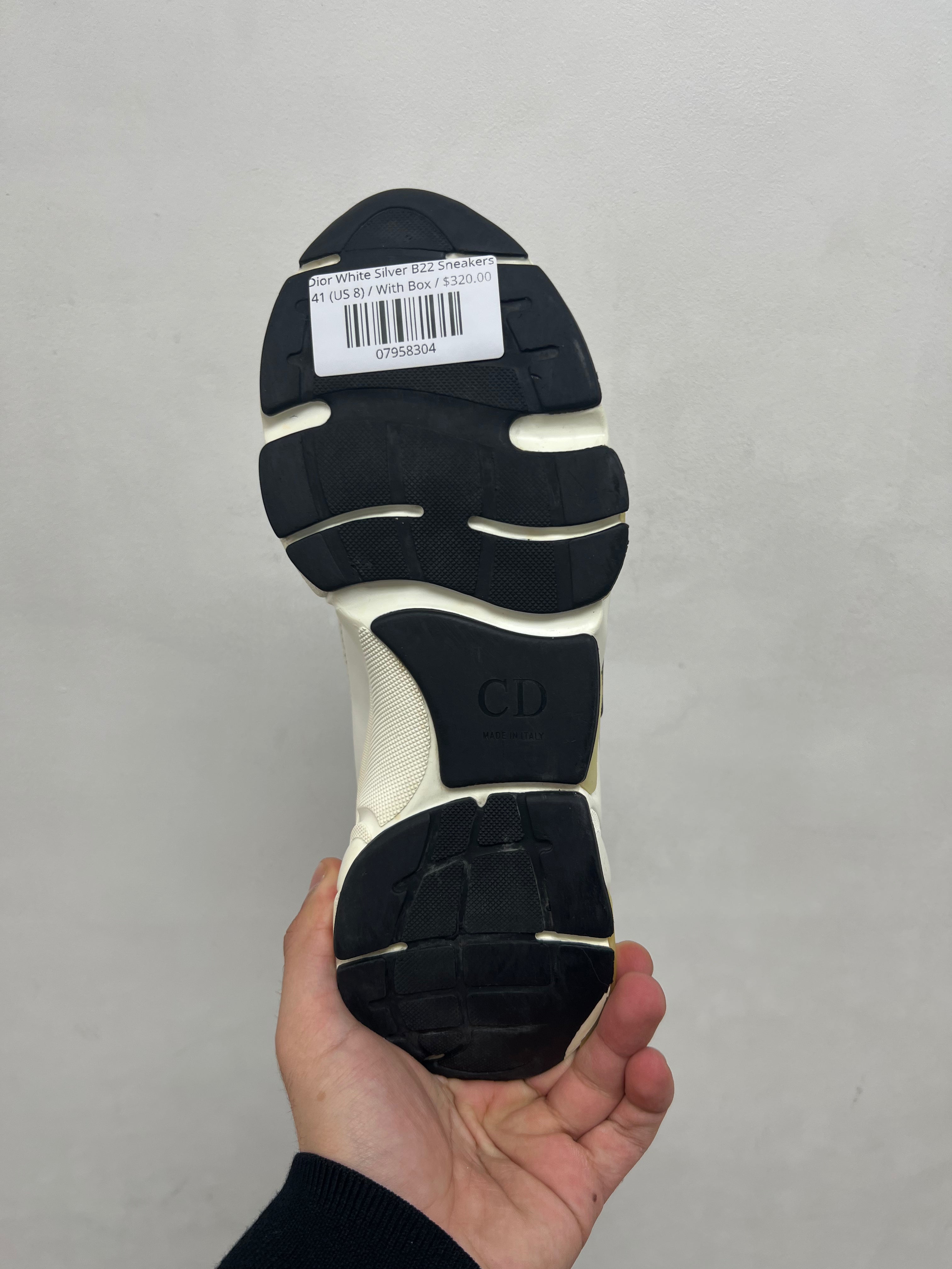 Dior White Silver B22 Sneakers