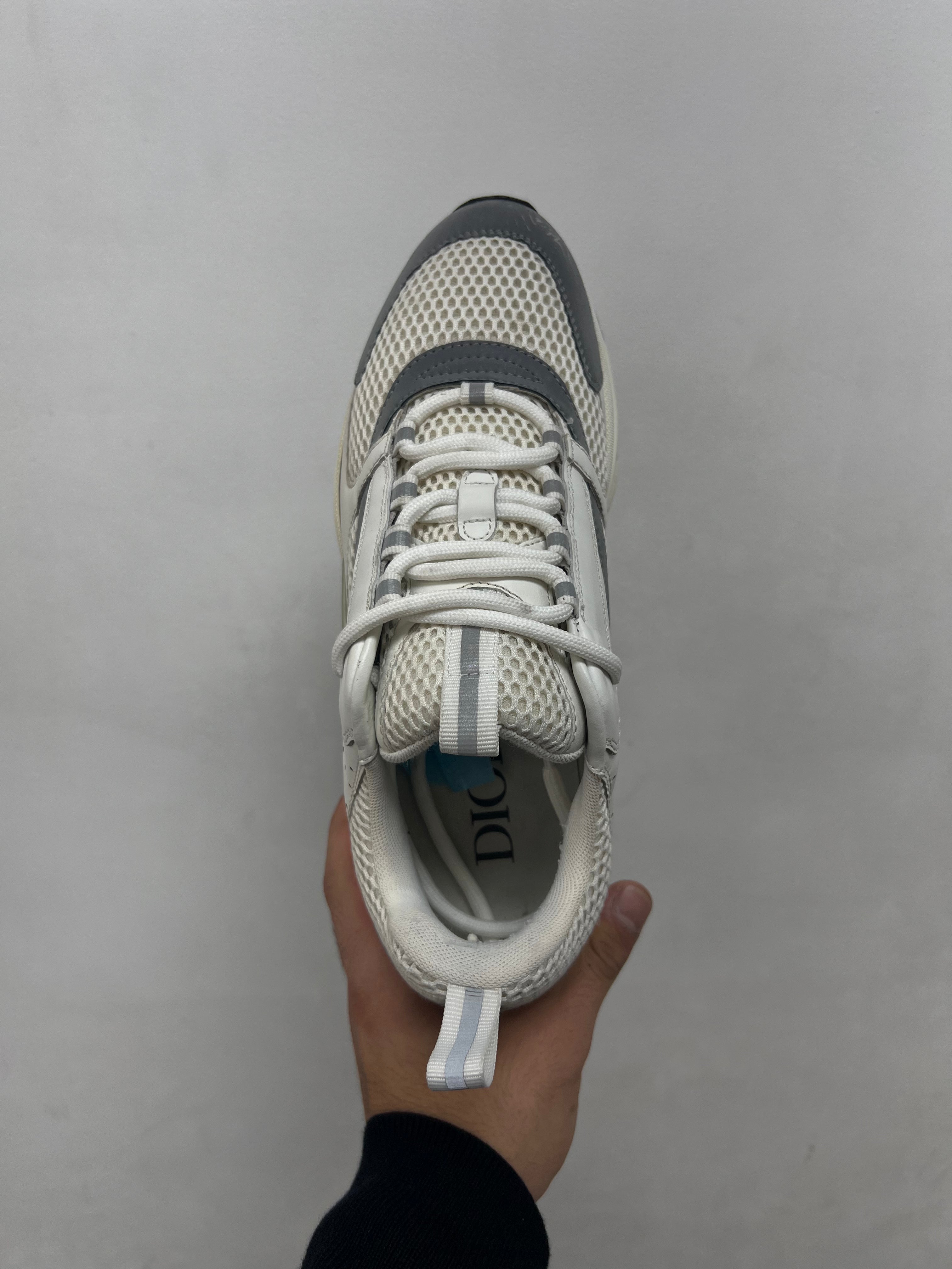 Dior White Silver B22 Sneakers