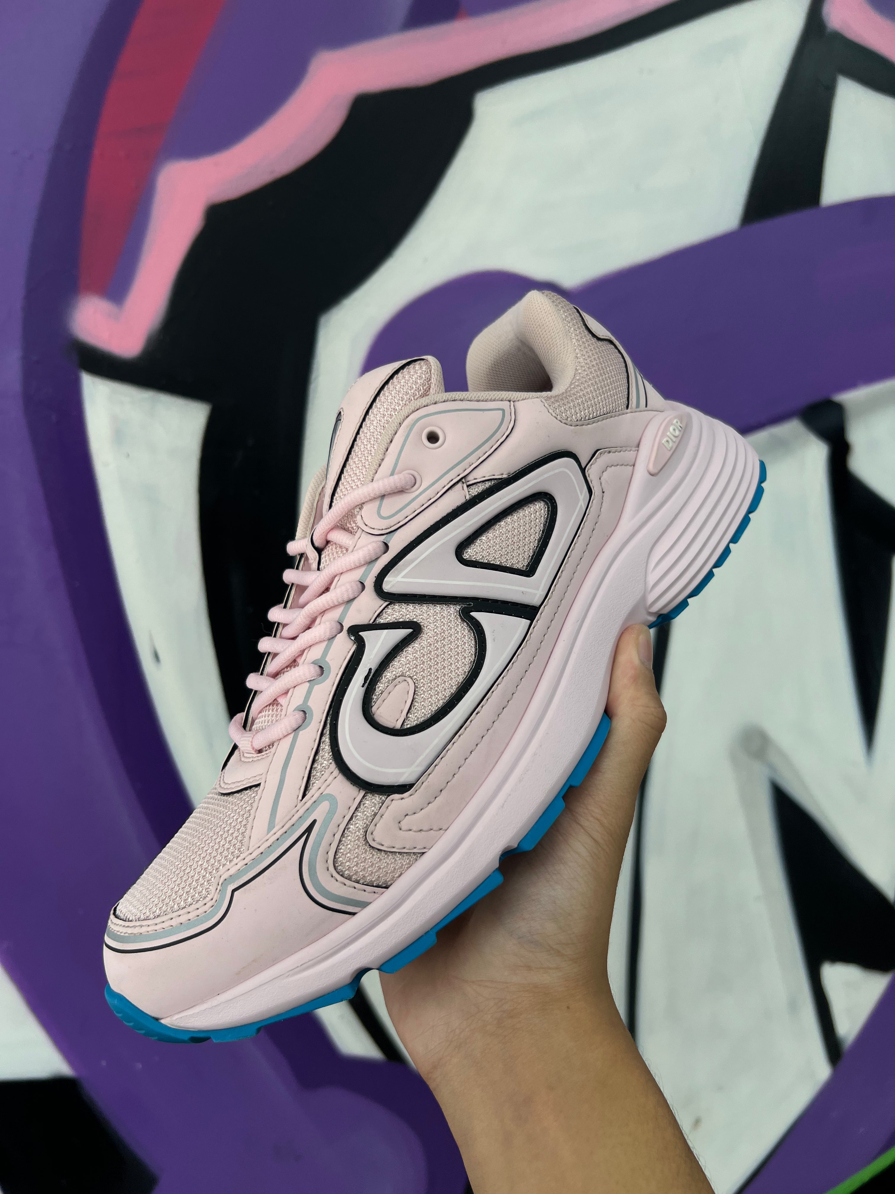 Dior Pink Blue B30 Sneakers