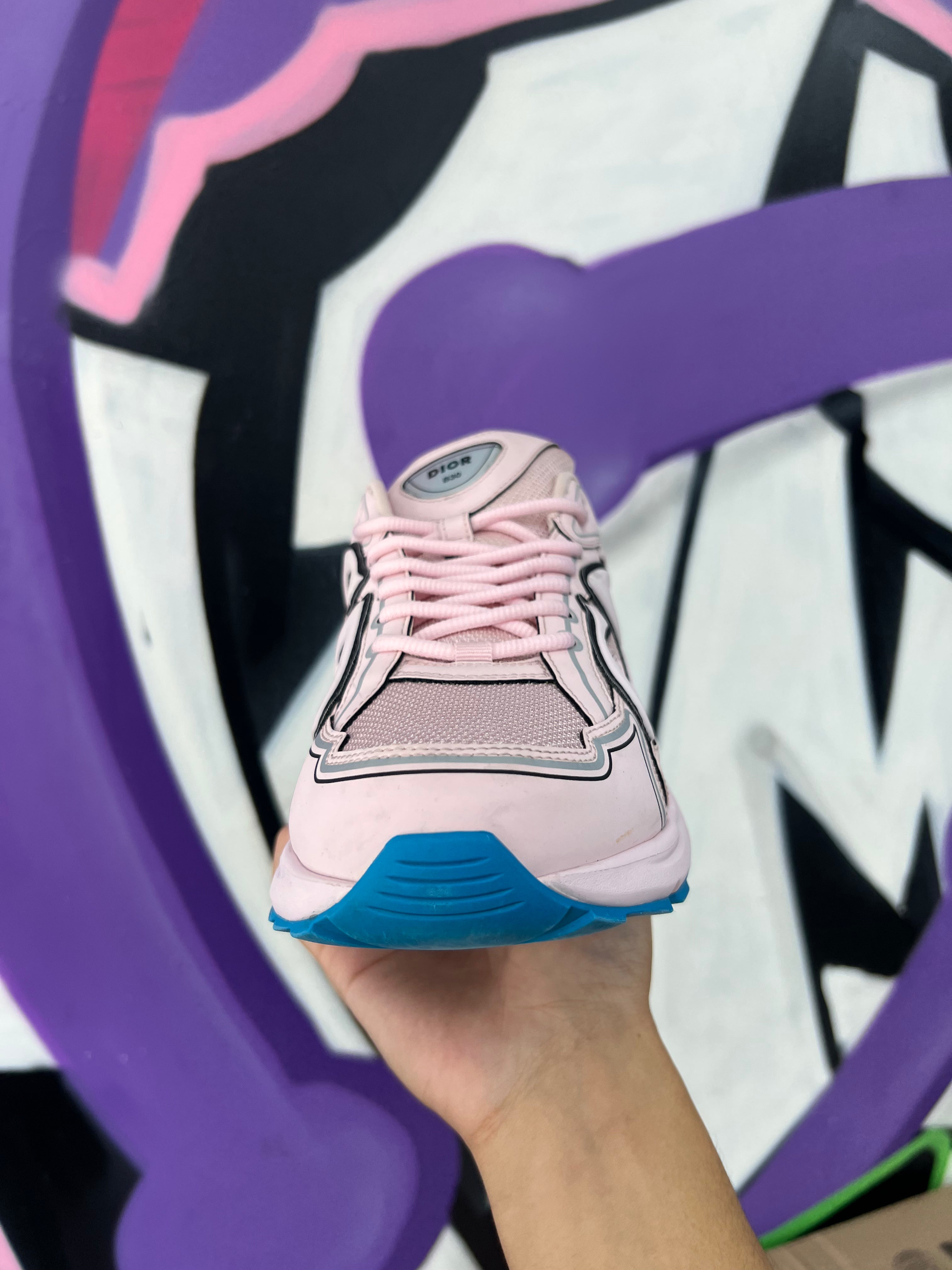 Dior Pink Blue B30 Sneakers
