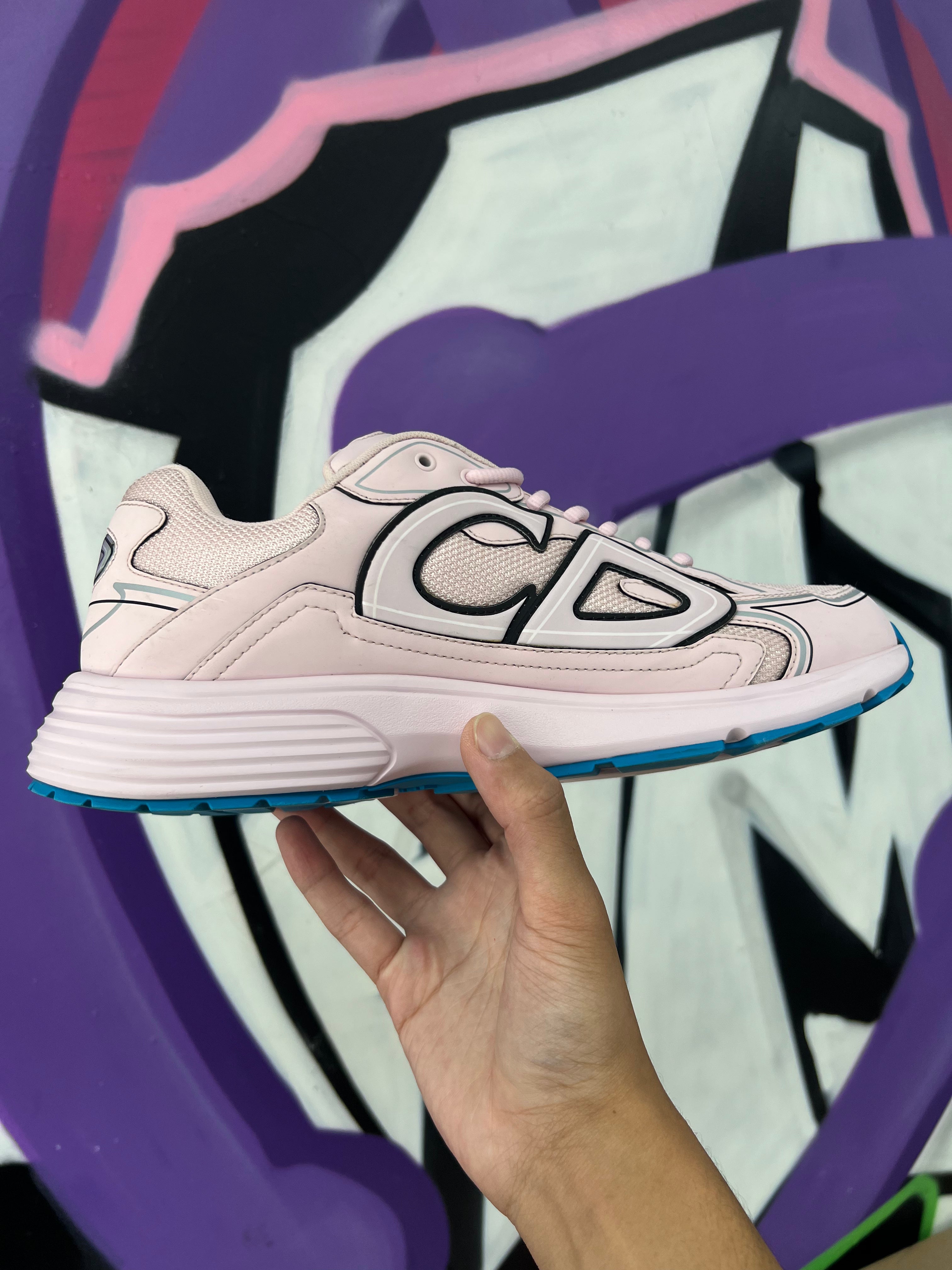 Dior Pink Blue B30 Sneakers