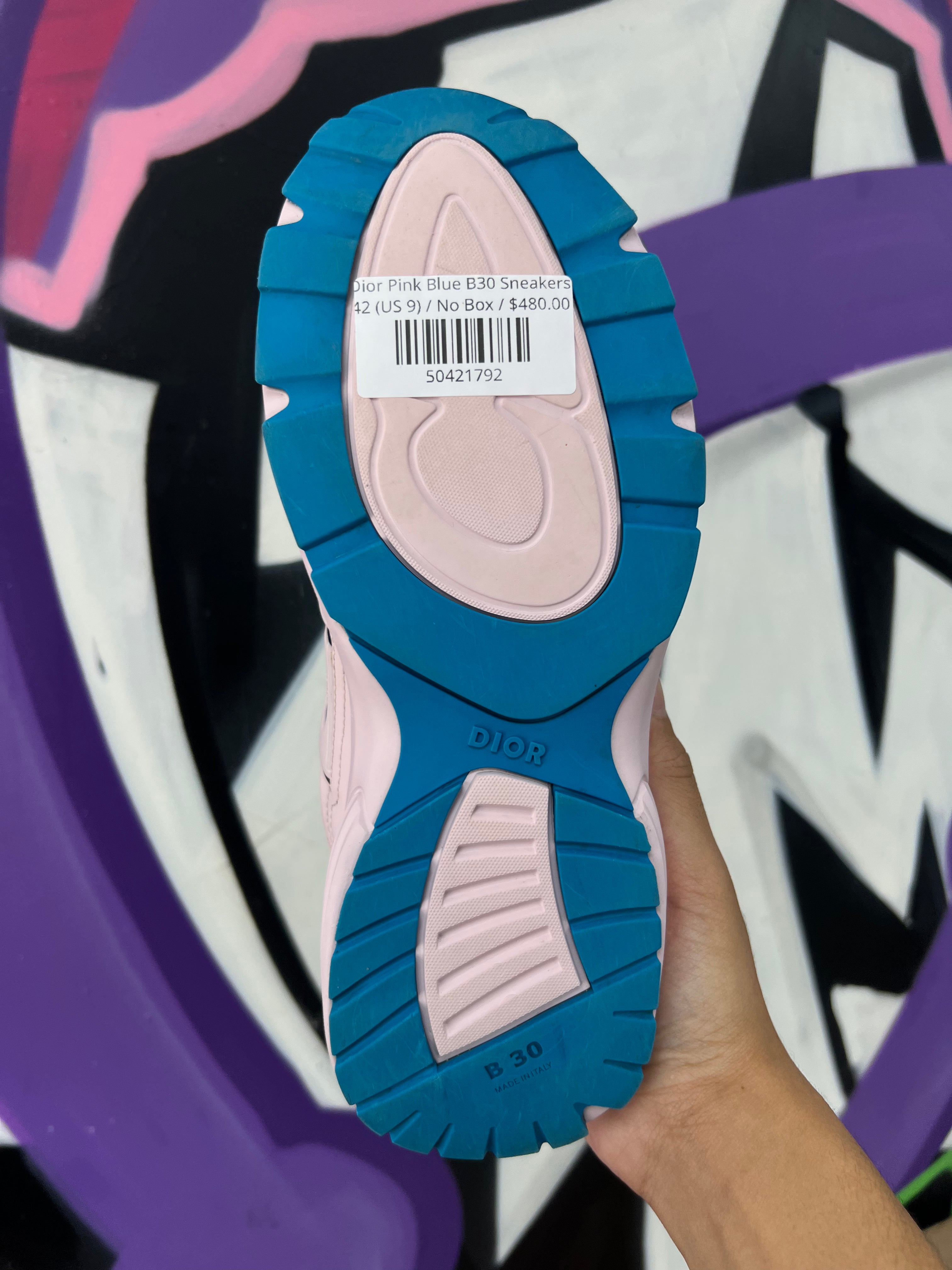 Dior Pink Blue B30 Sneakers