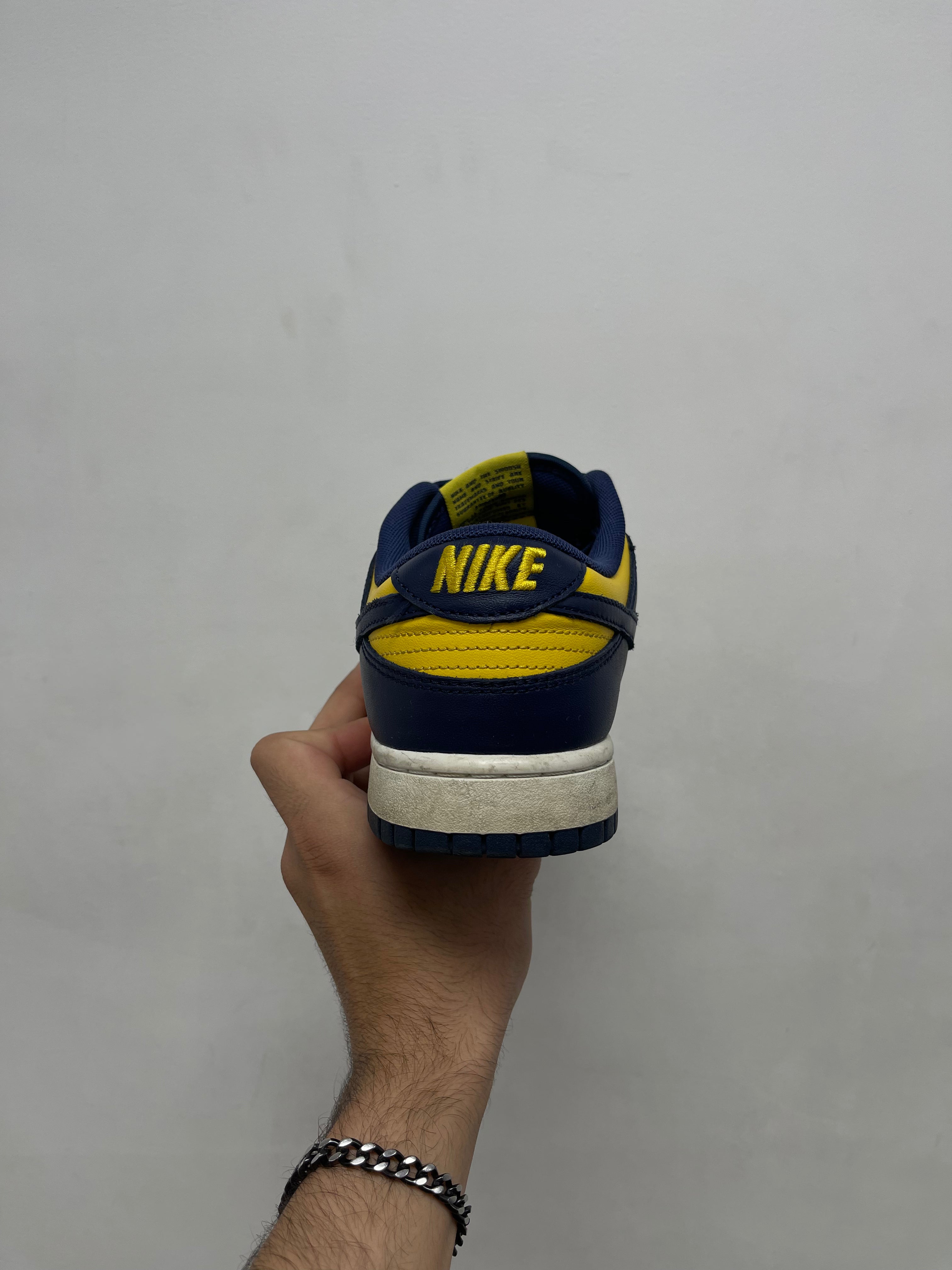 Nike Dunk Low Michigan Sneakers