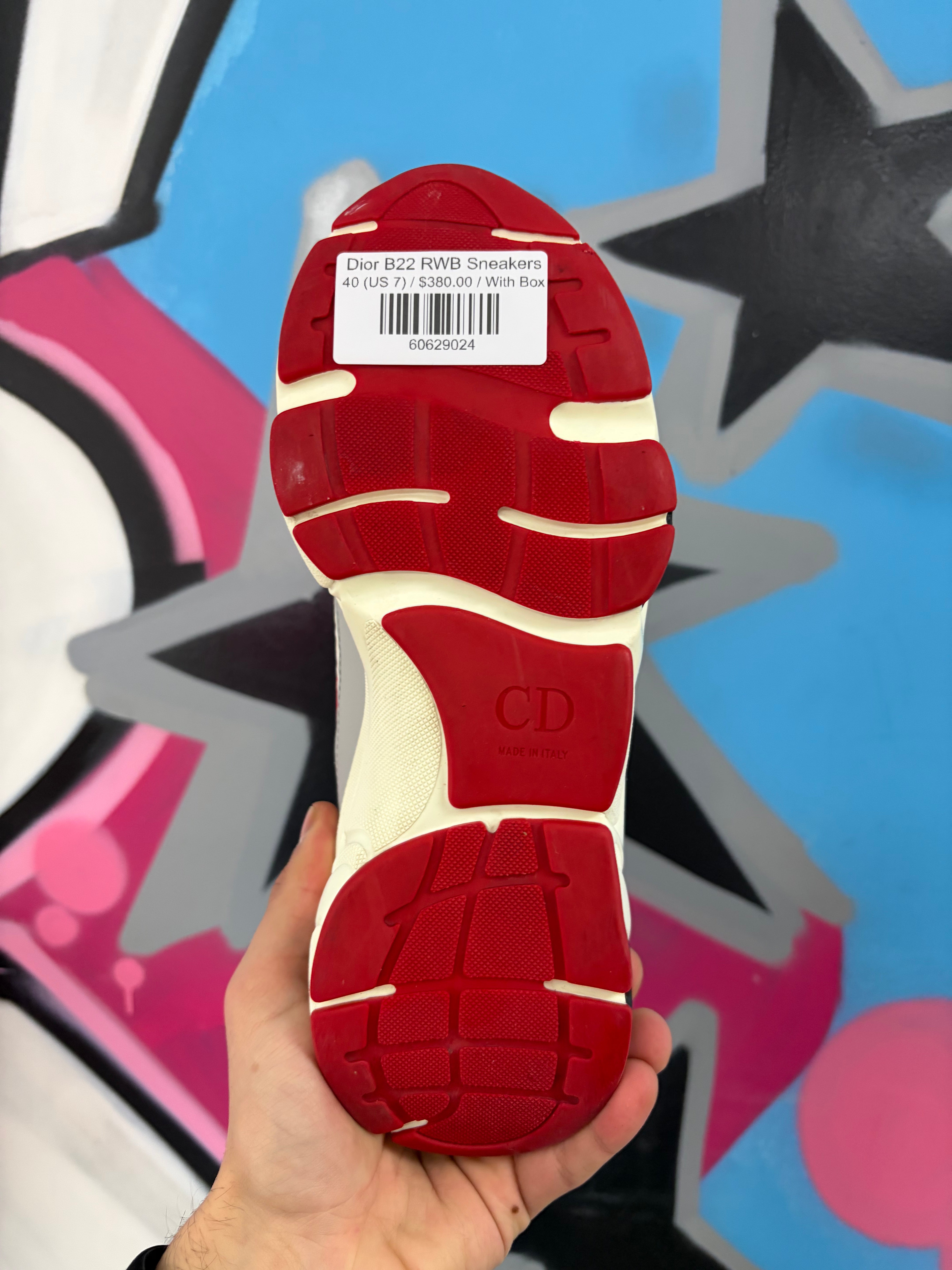 Dior B22 RWB Sneakers