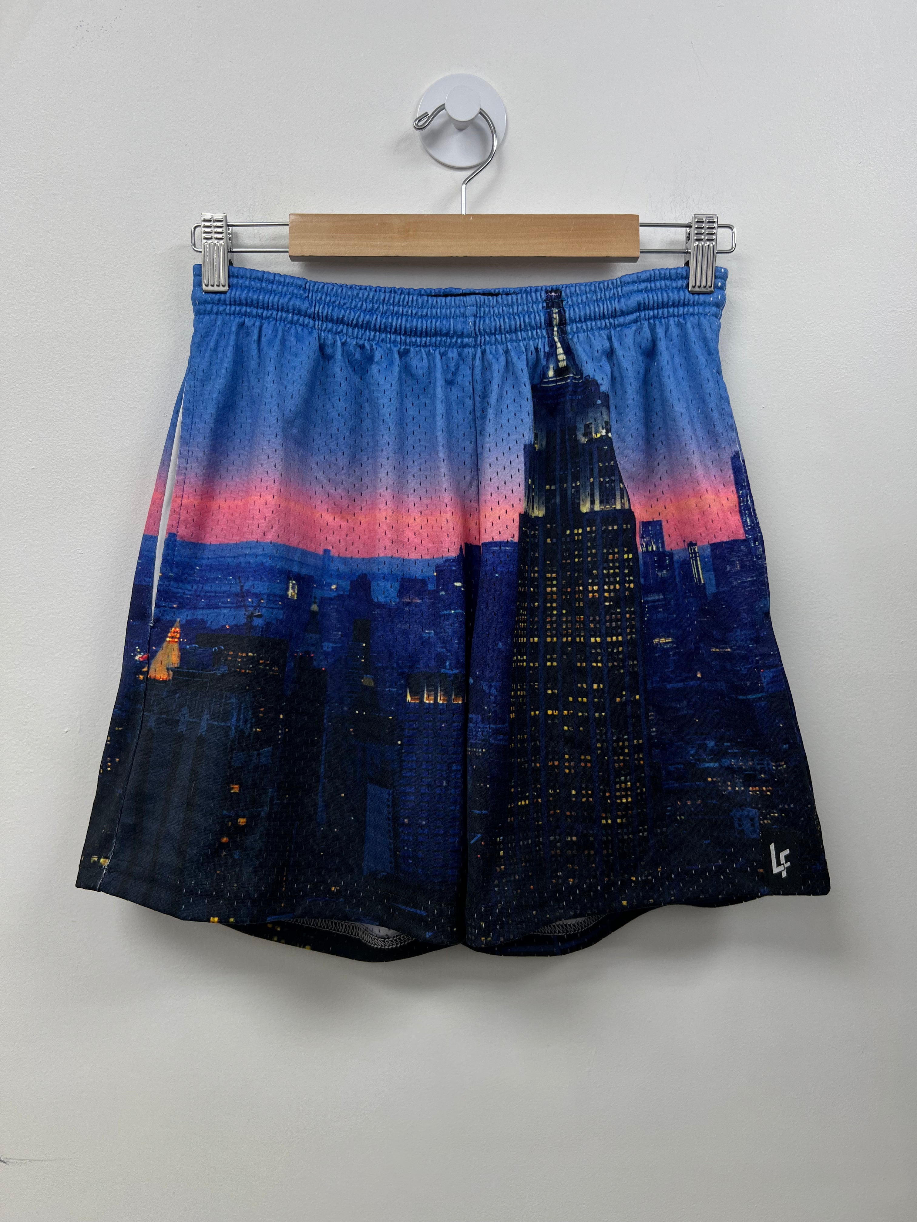 Lost Files Blue Pink Skyline Shorts