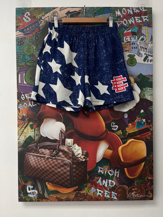 EE USA Shorts RWB Used