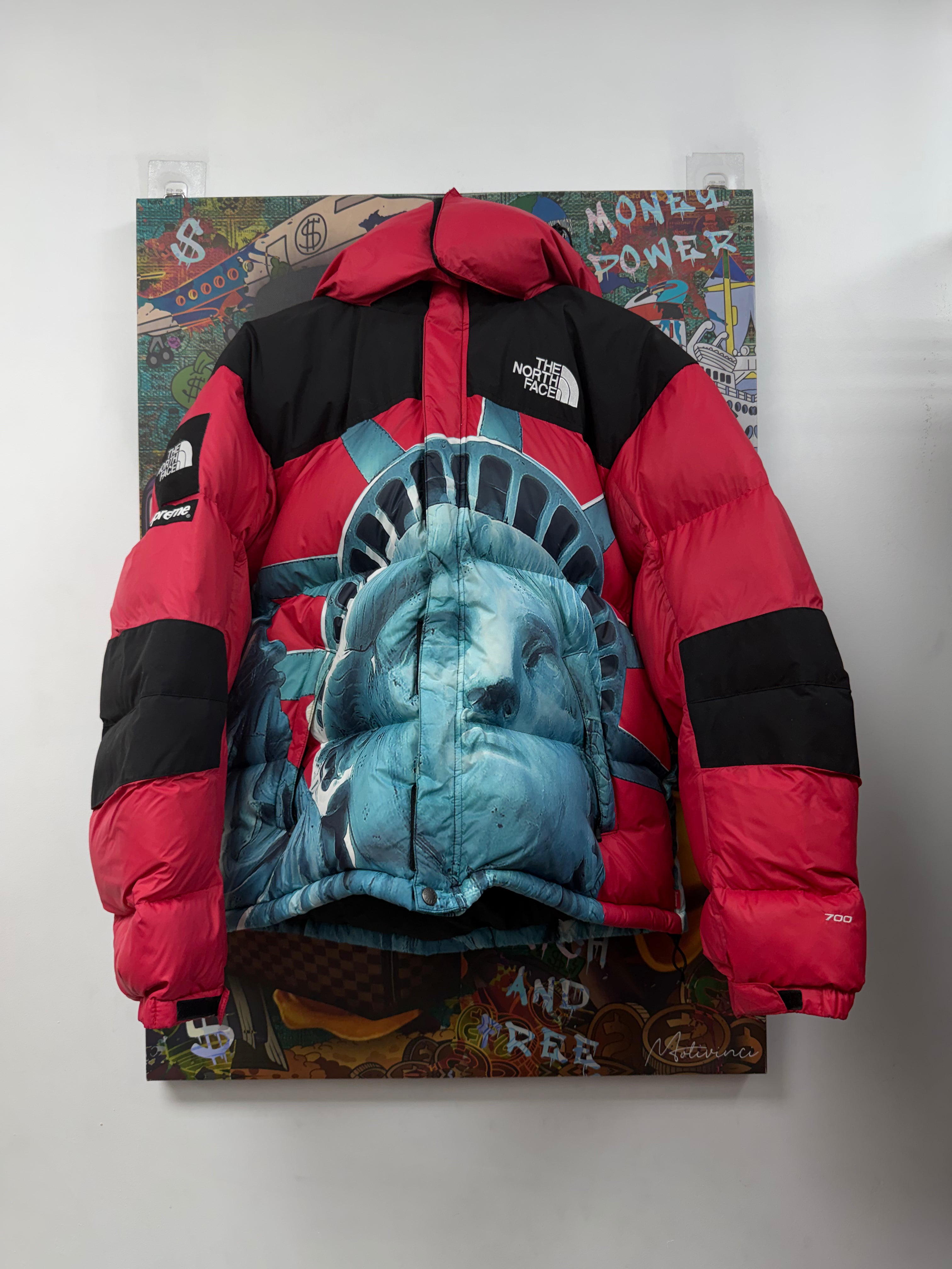 Supreme The North Face Red Liberty Puffer Jacket