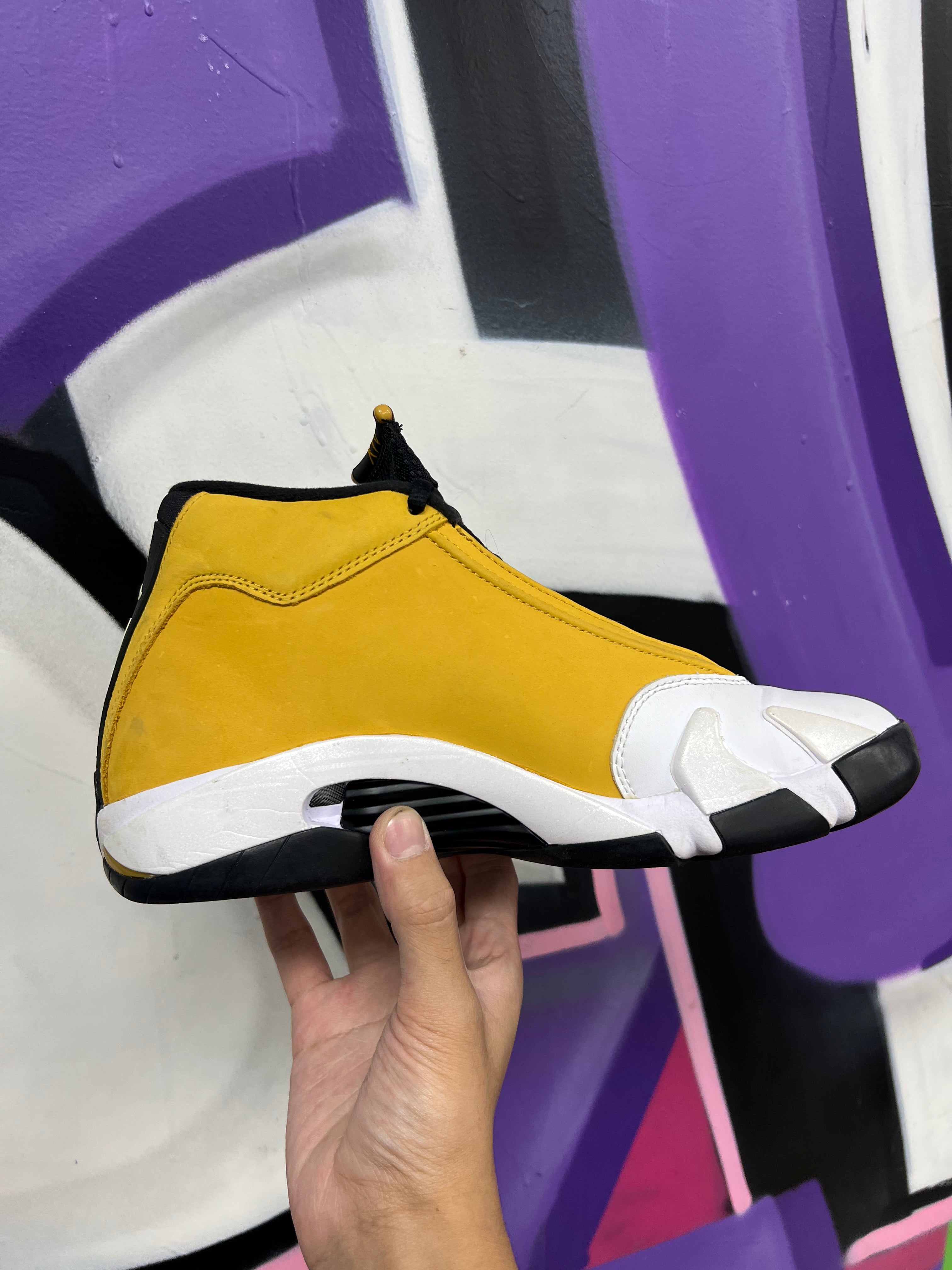 Jordan 14 Ginger Sneakers
