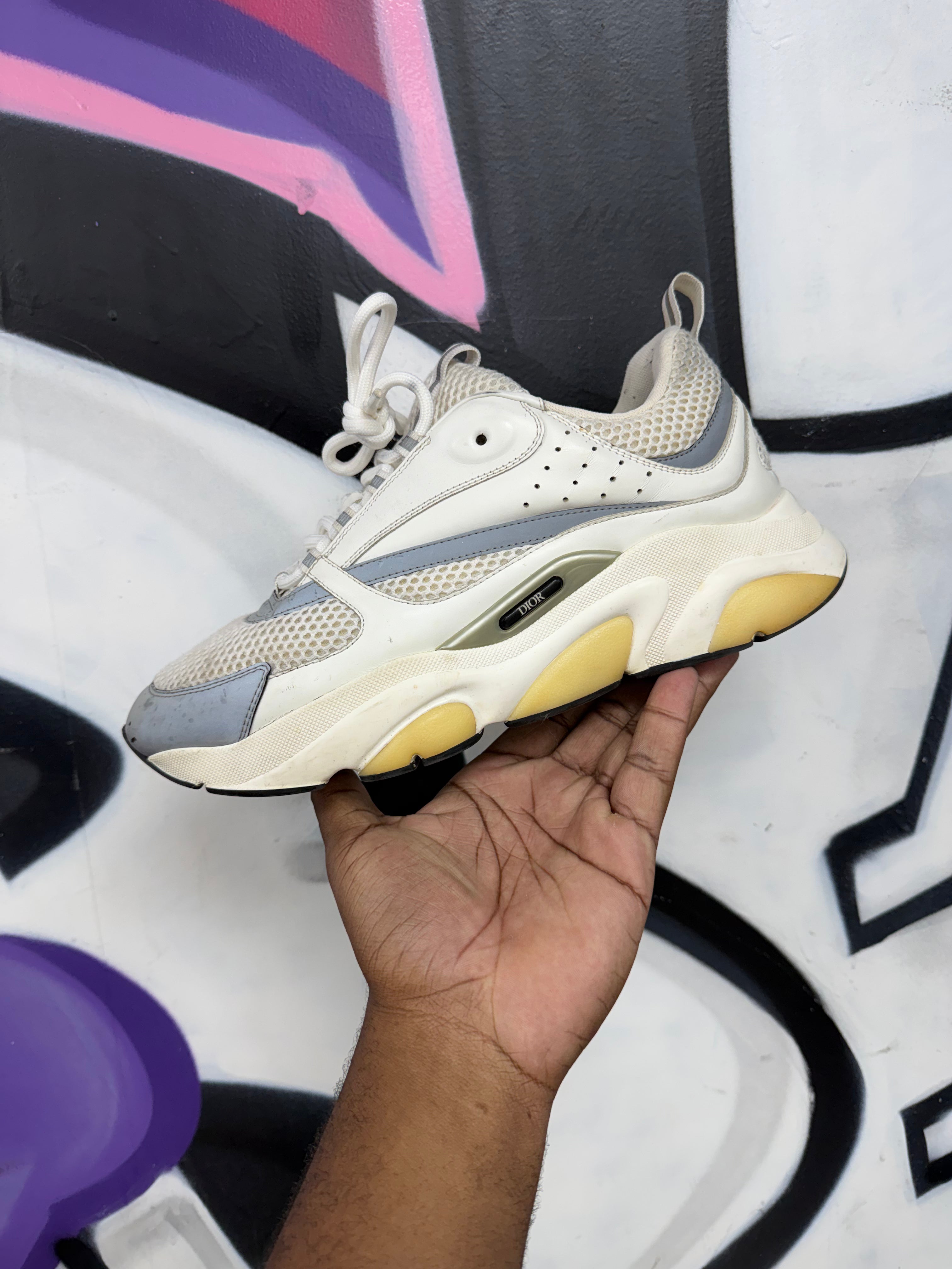 Dior White Silver B22 Sneakers