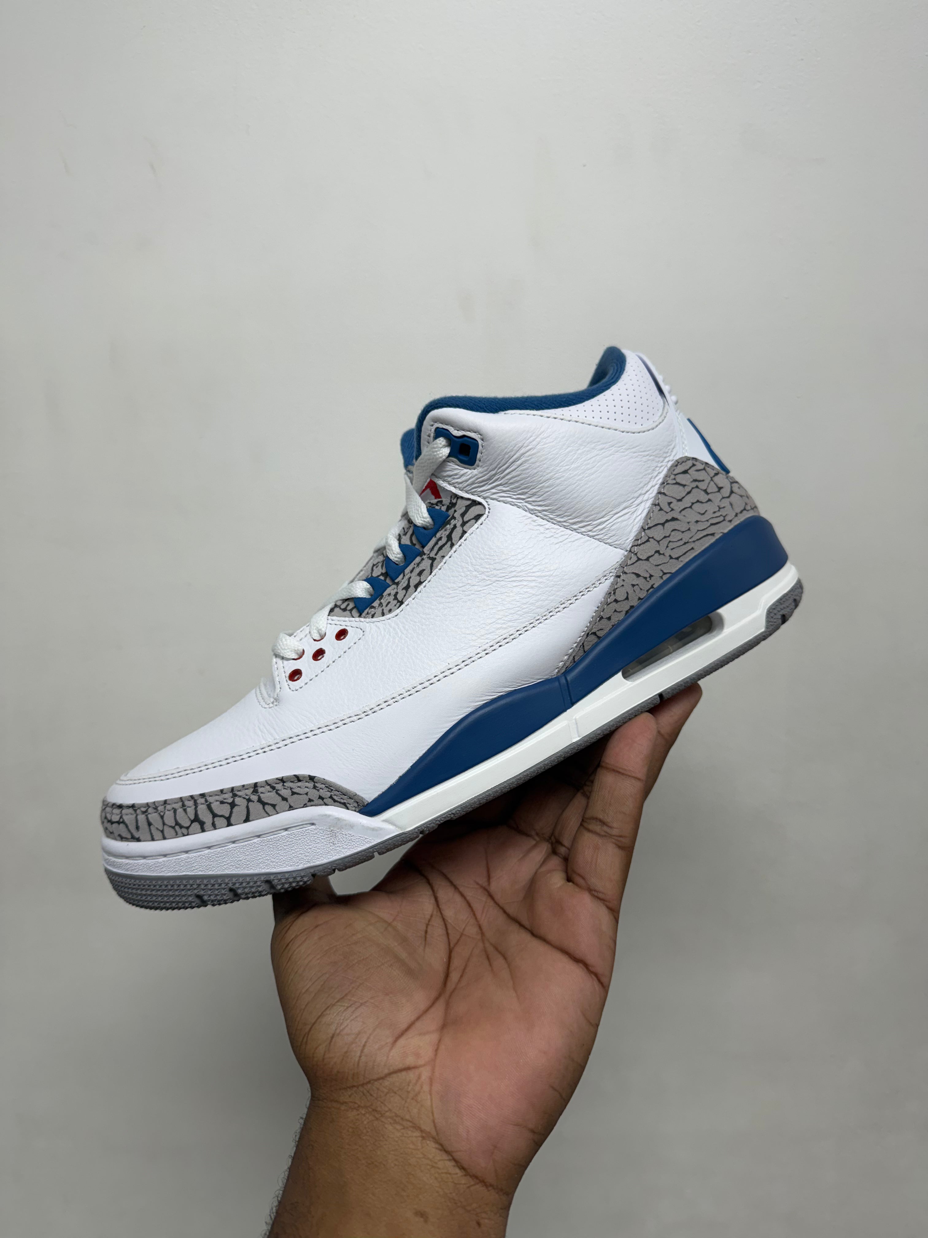 Jordan 3 True Blue Sneakers