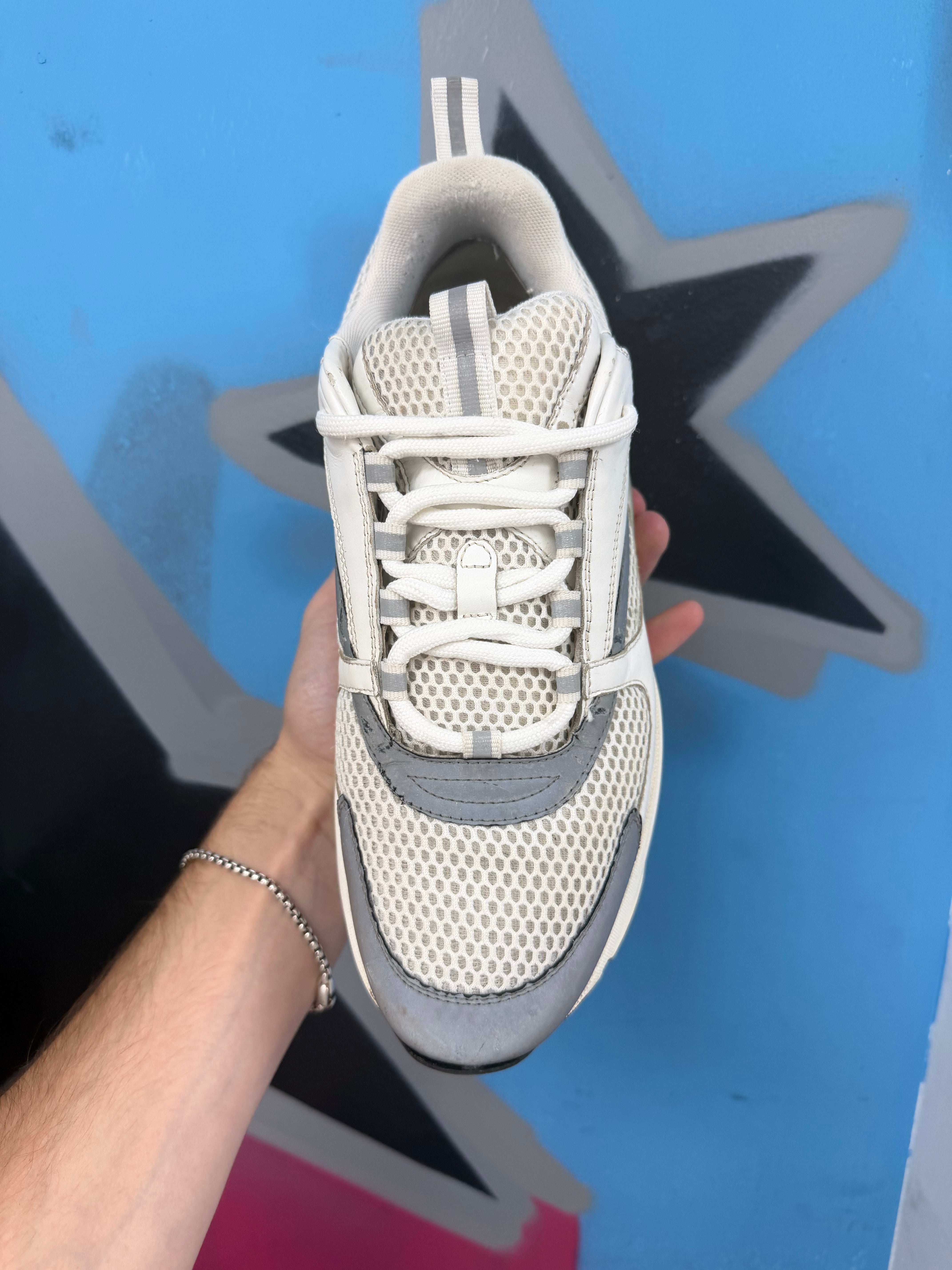 Dior White Silver B22 Sneakers