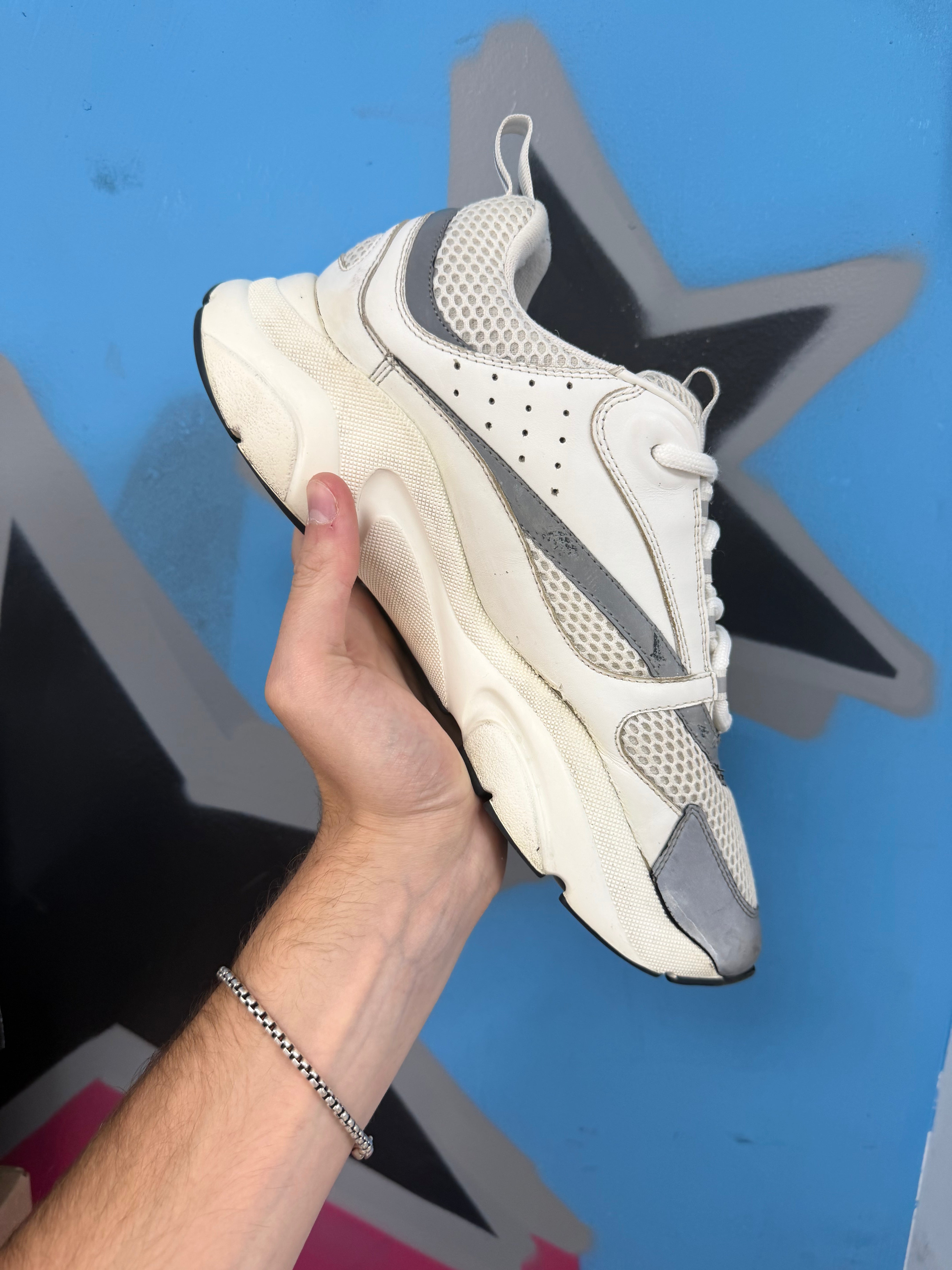Dior White Silver B22 Sneakers