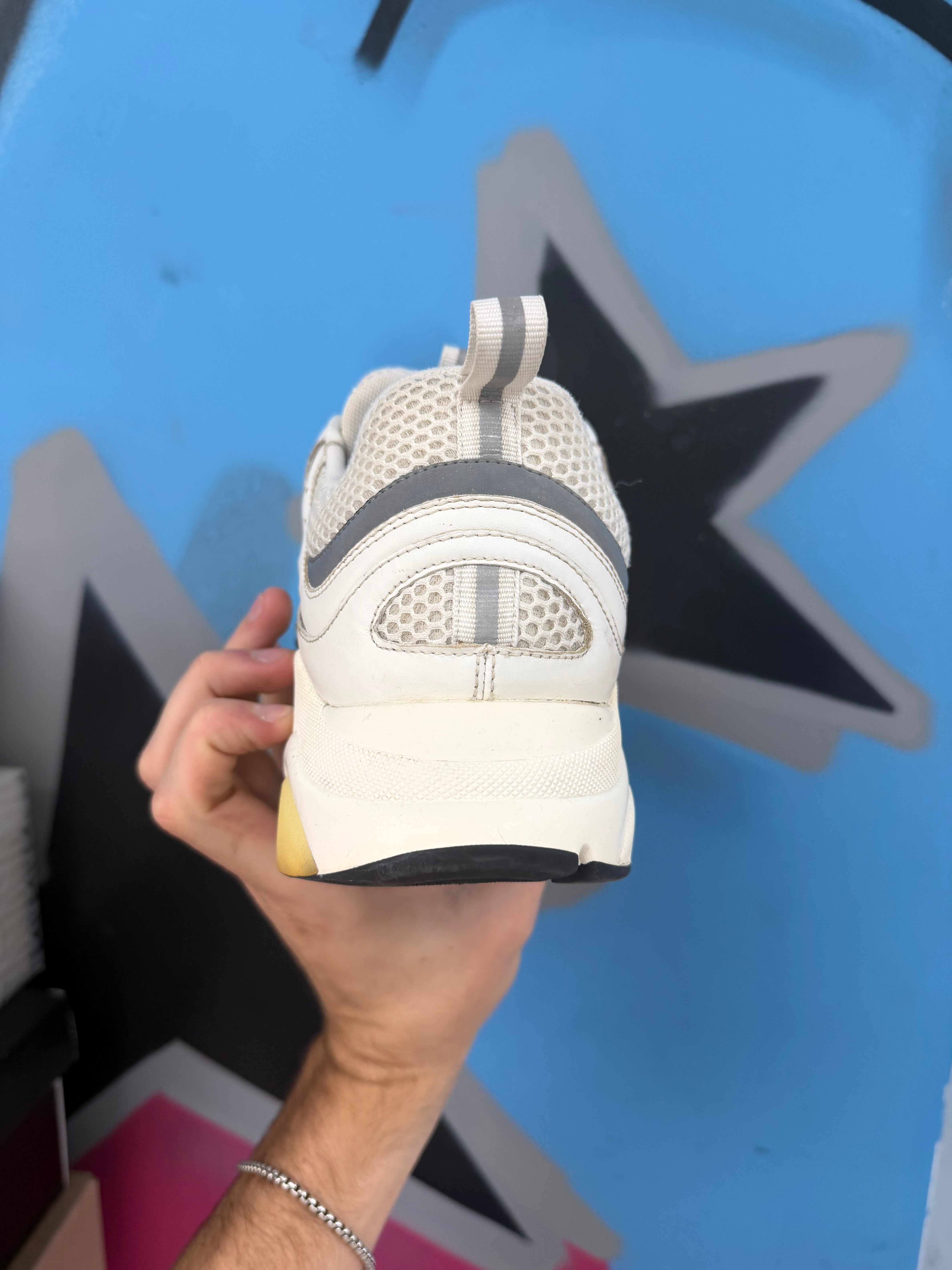 Dior White Silver B22 Sneakers