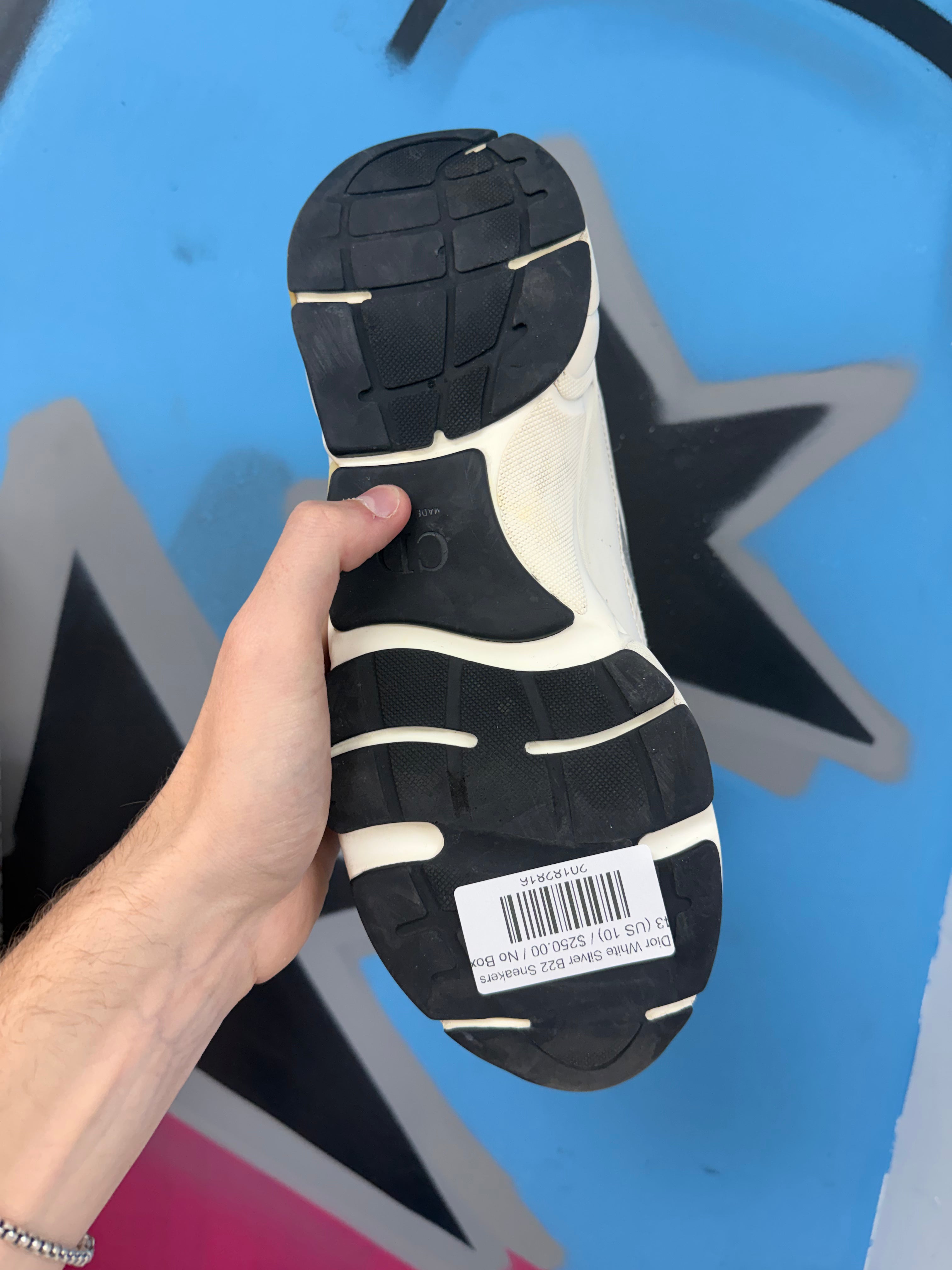 Dior White Silver B22 Sneakers