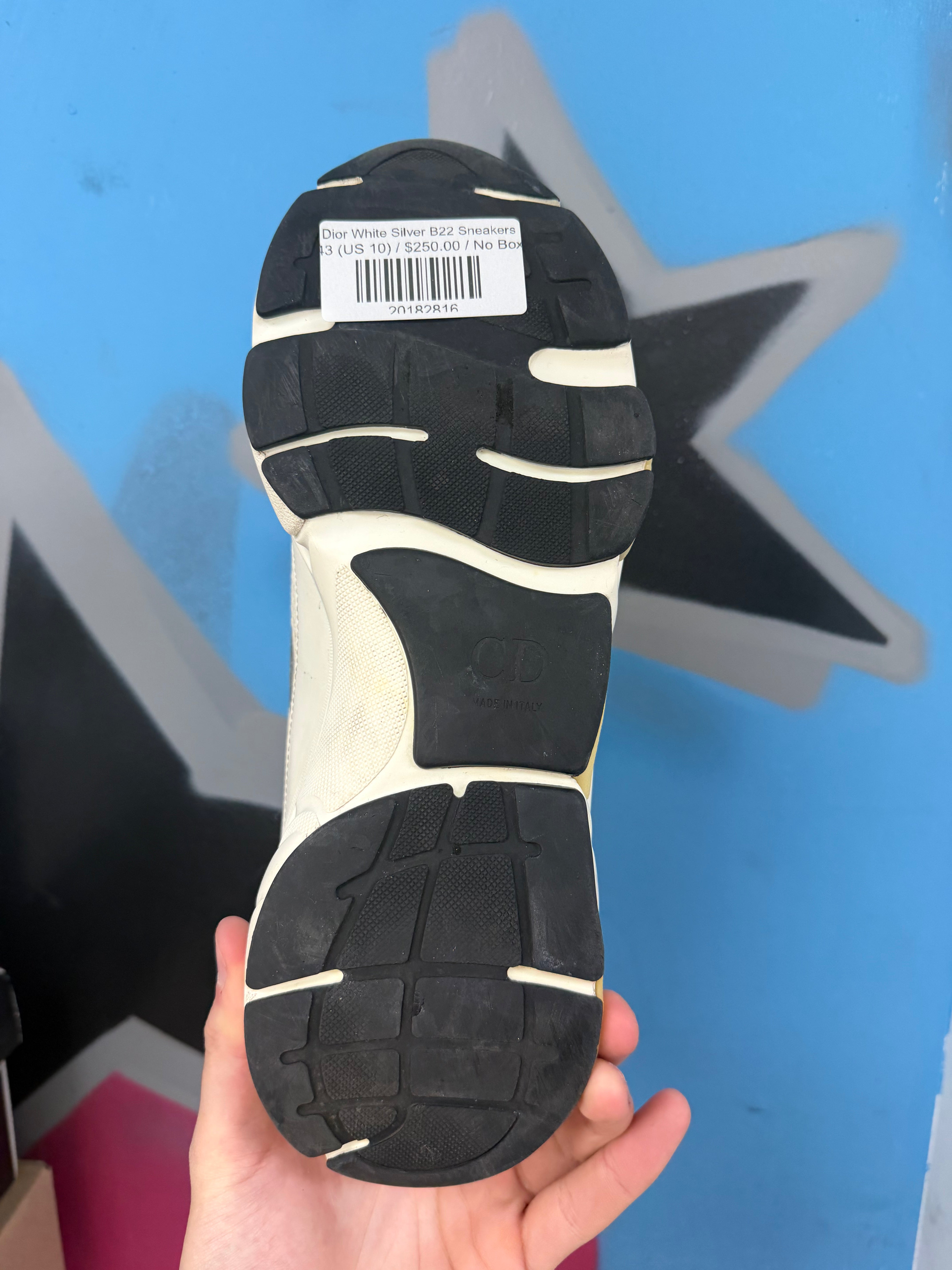 Dior White Silver B22 Sneakers