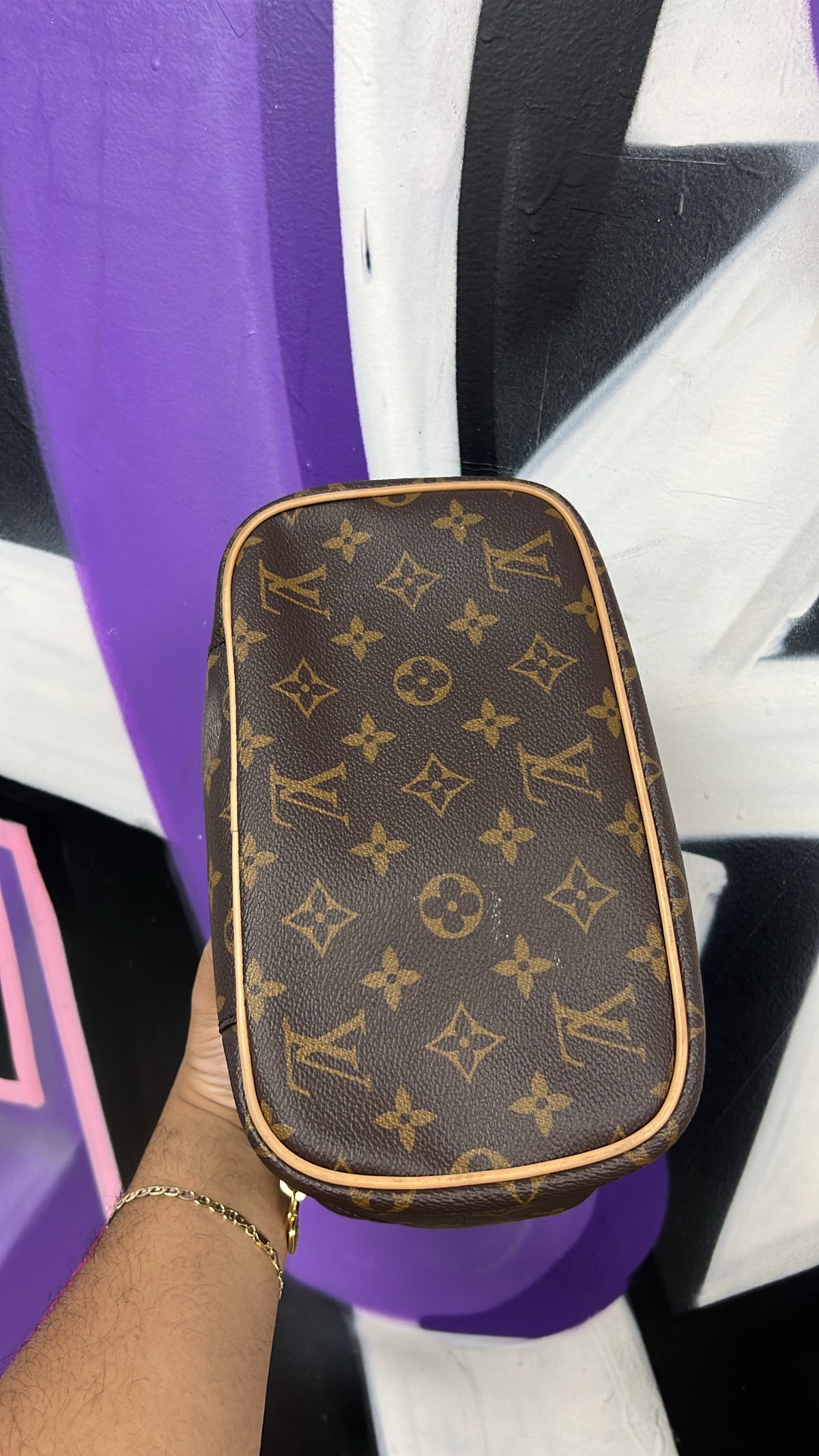 Louis Vuitton Brown Monogram Vanity Bag