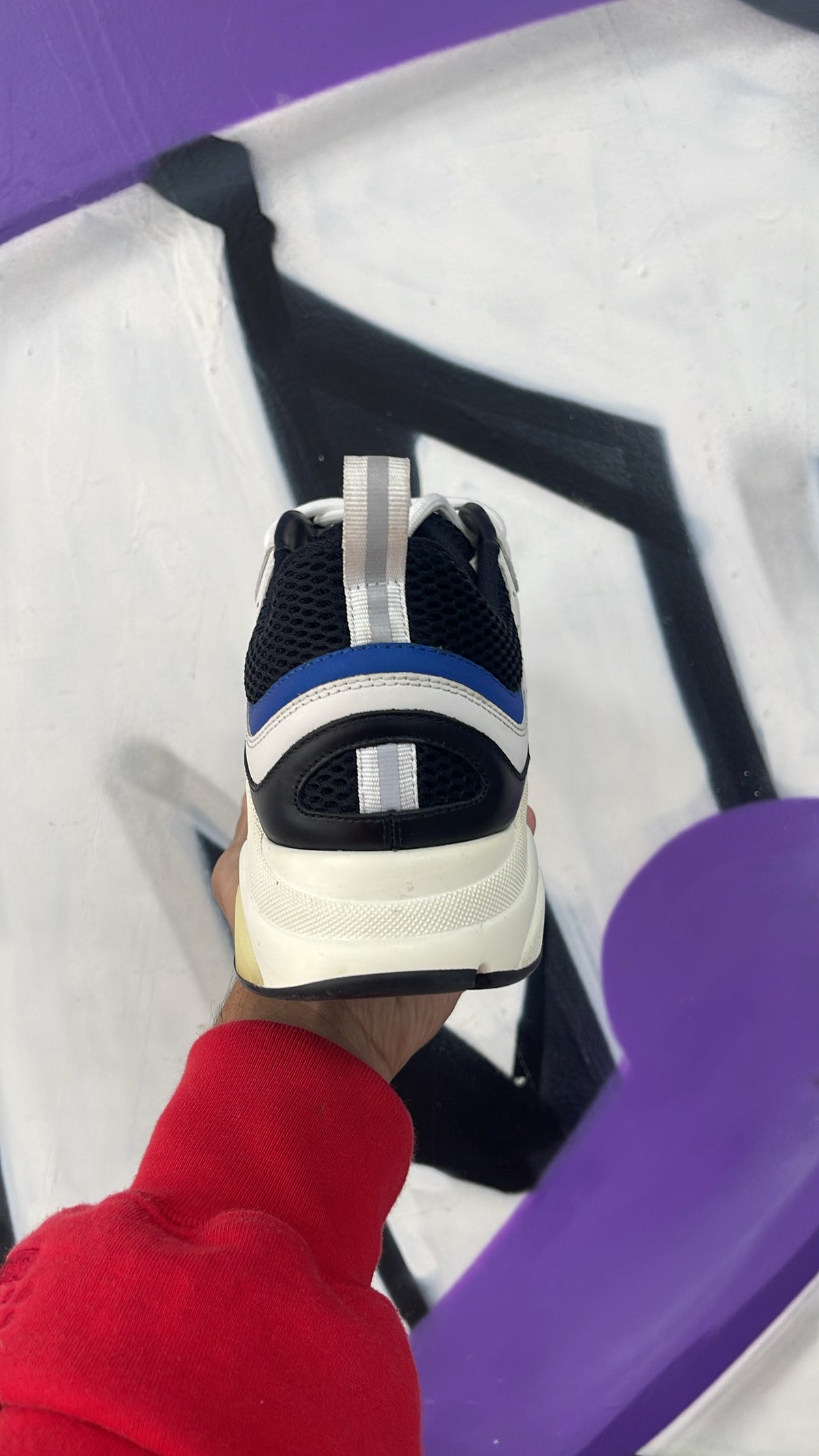 Dior Blue White B22 Sneakers