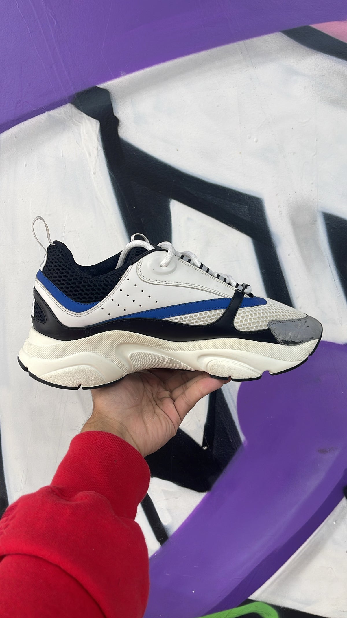 Dior Blue White B22 Sneakers