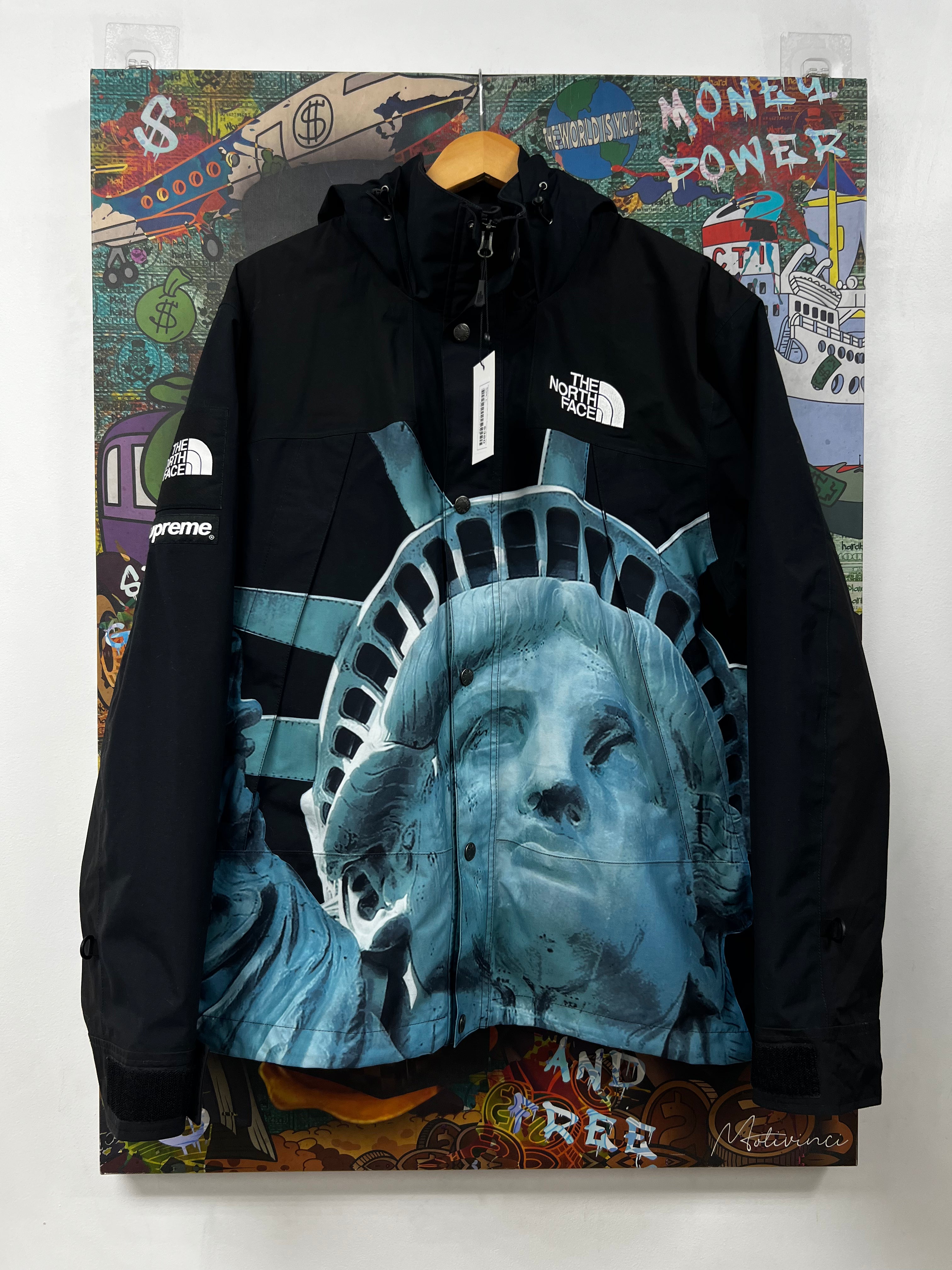 Supreme The North Face Liberty Mountain Parka Jacket