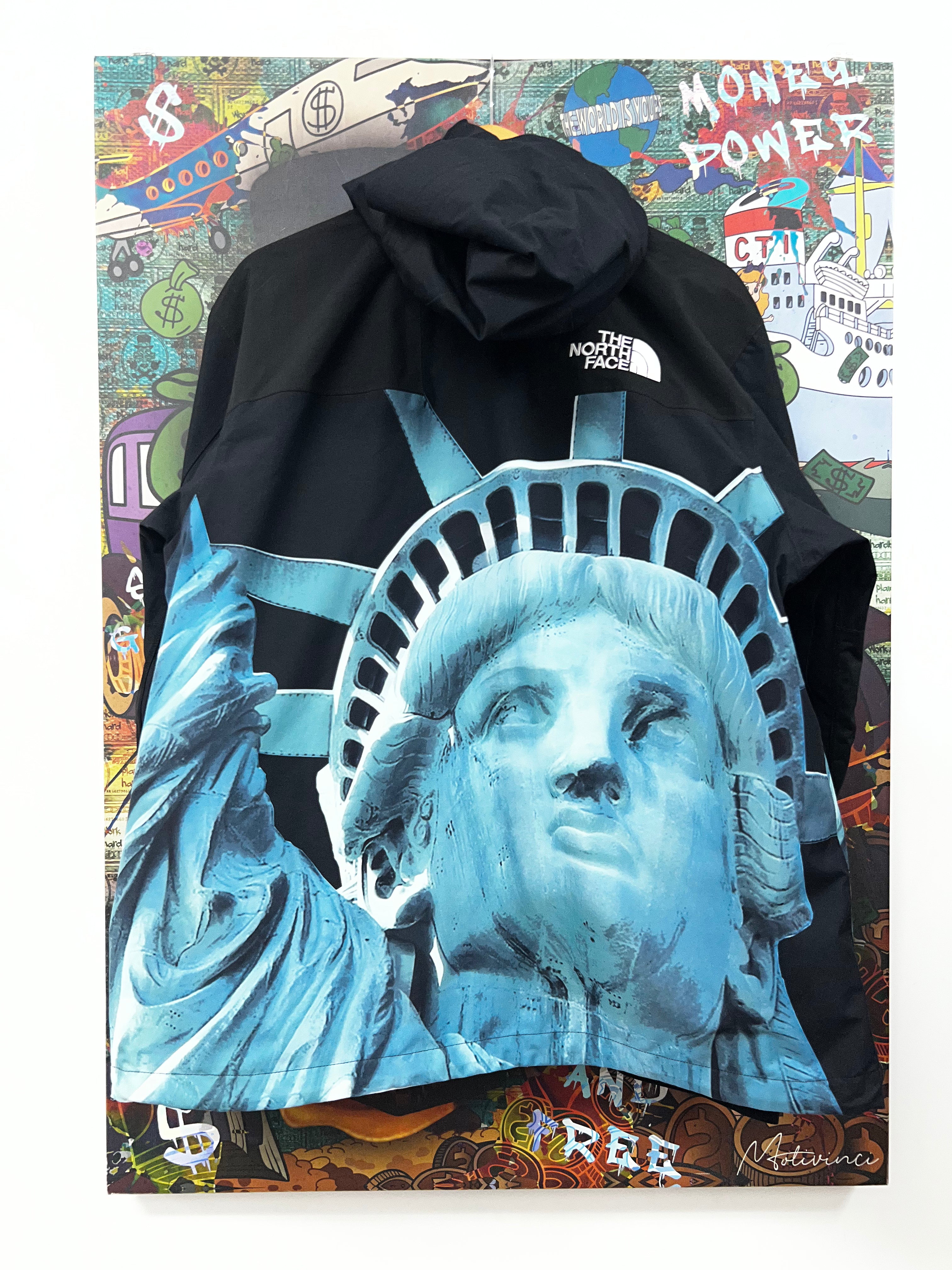 Supreme The North Face Liberty Mountain Parka Jacket