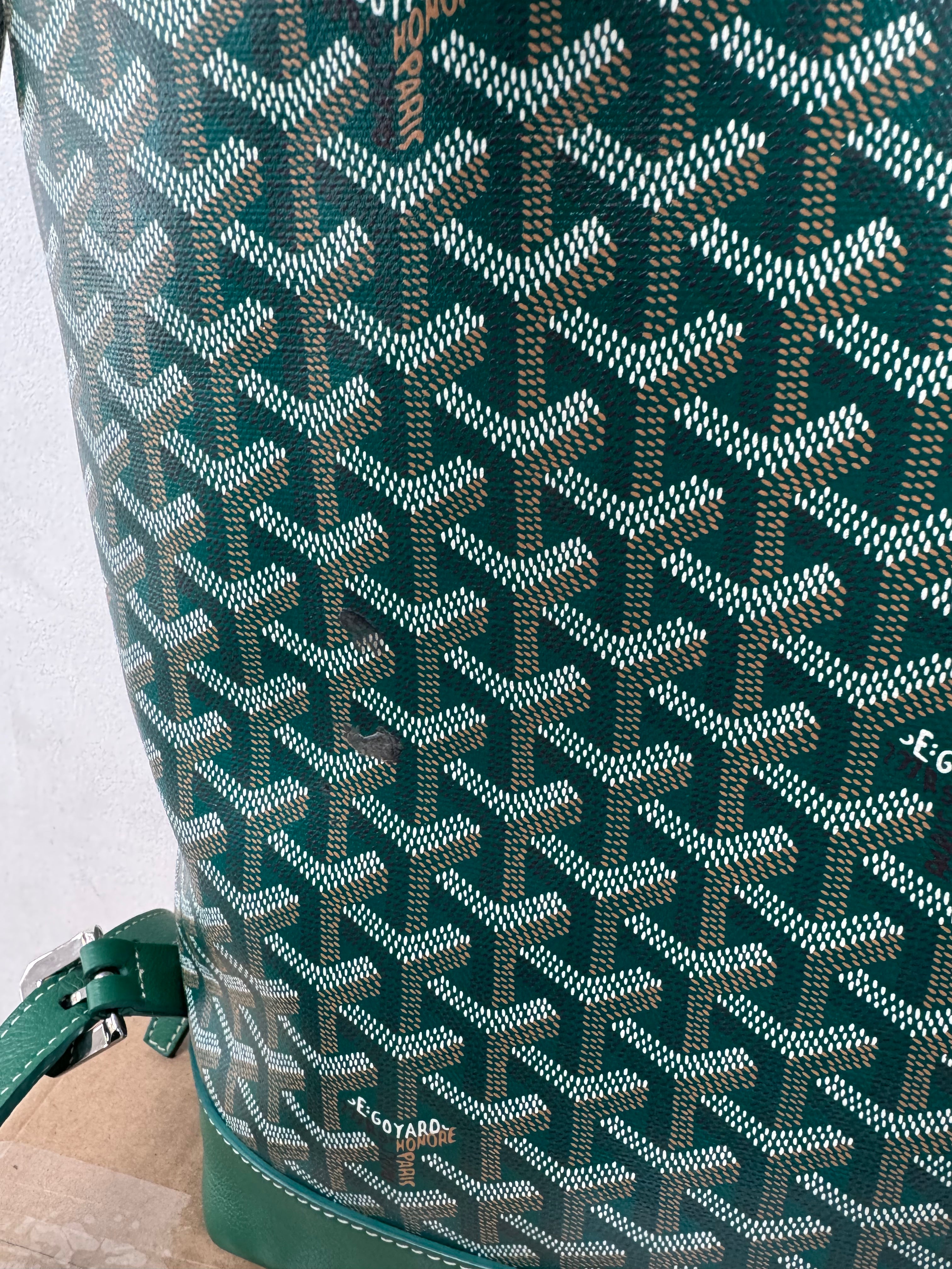 Goyard Green Cisalpin Backpack