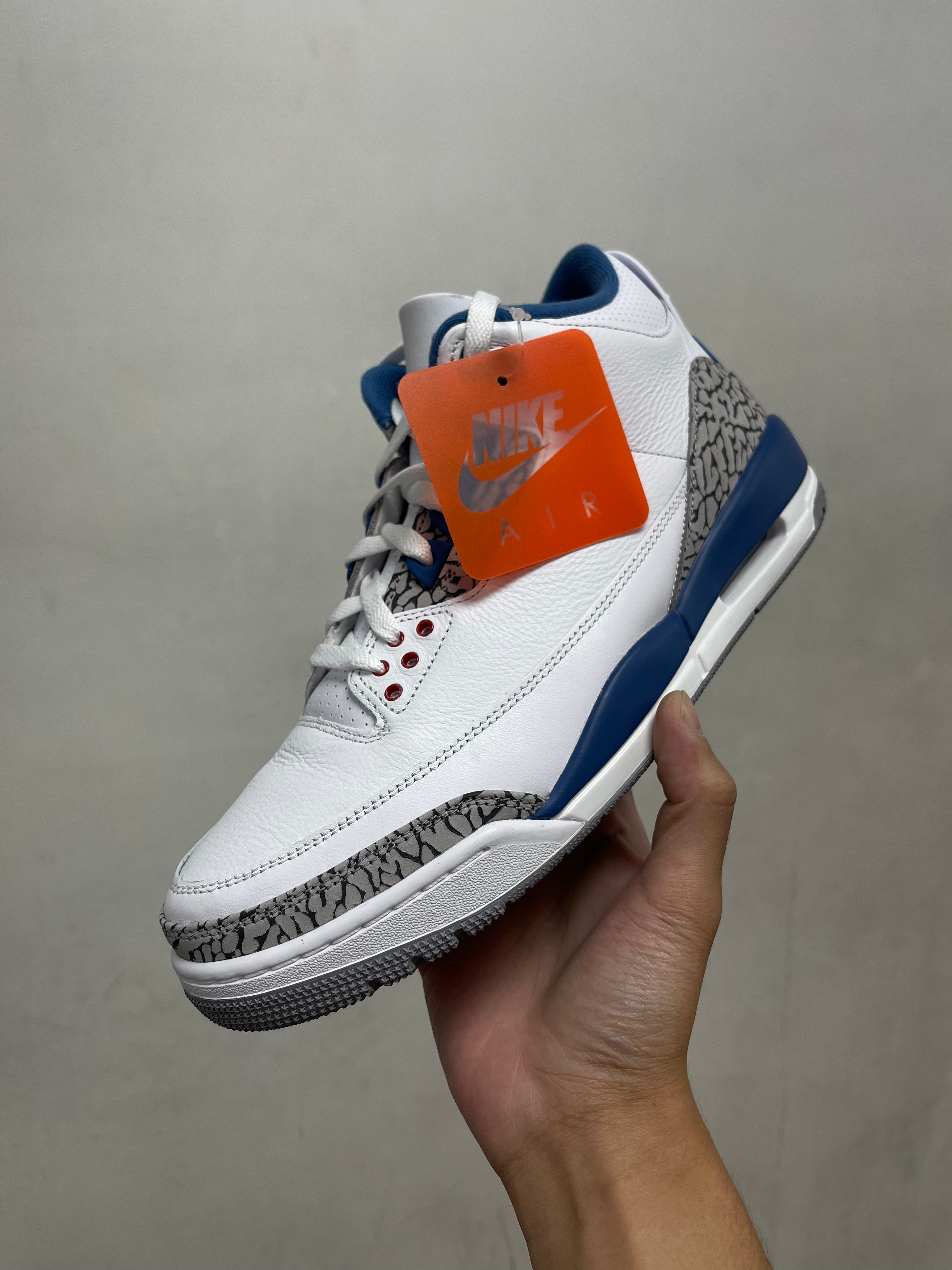 Jordan 3 True Blue Sneakers
