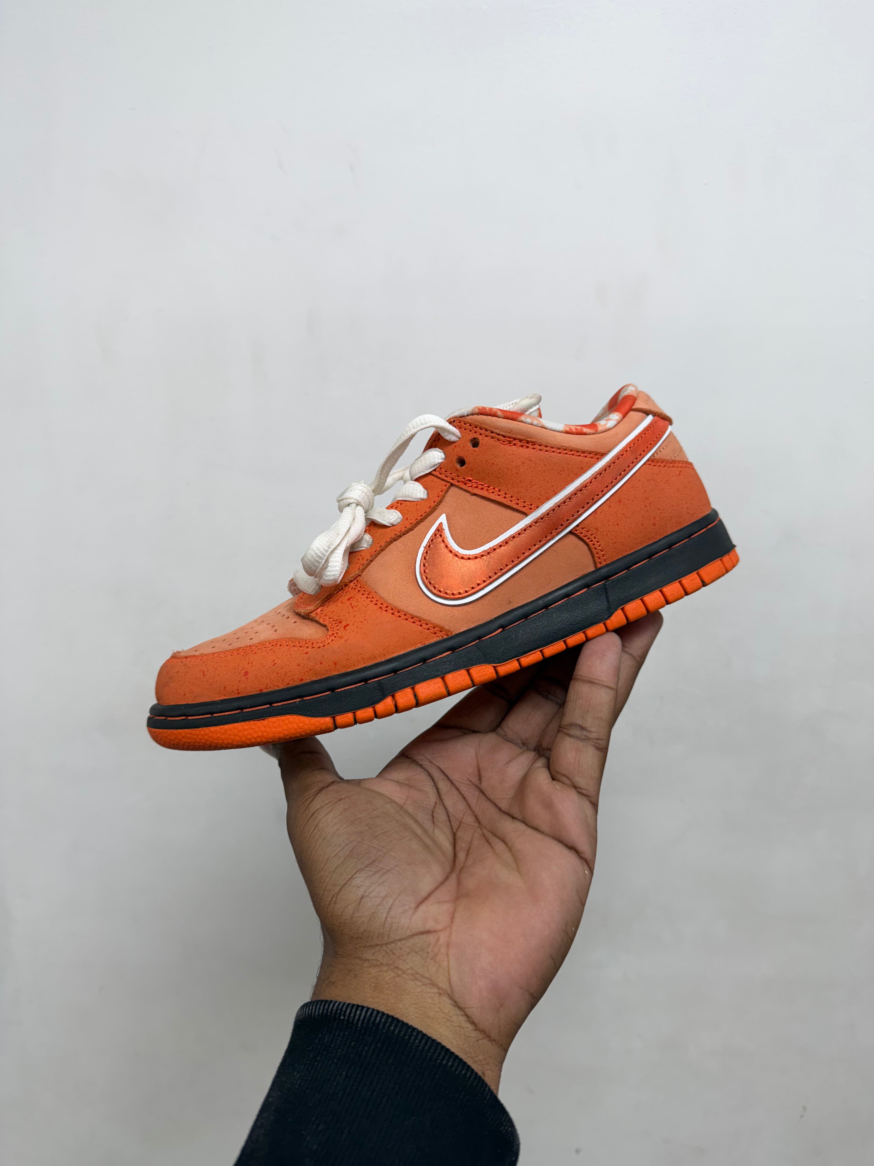Nike SB Dunk Low Orange Lobster Sneakes