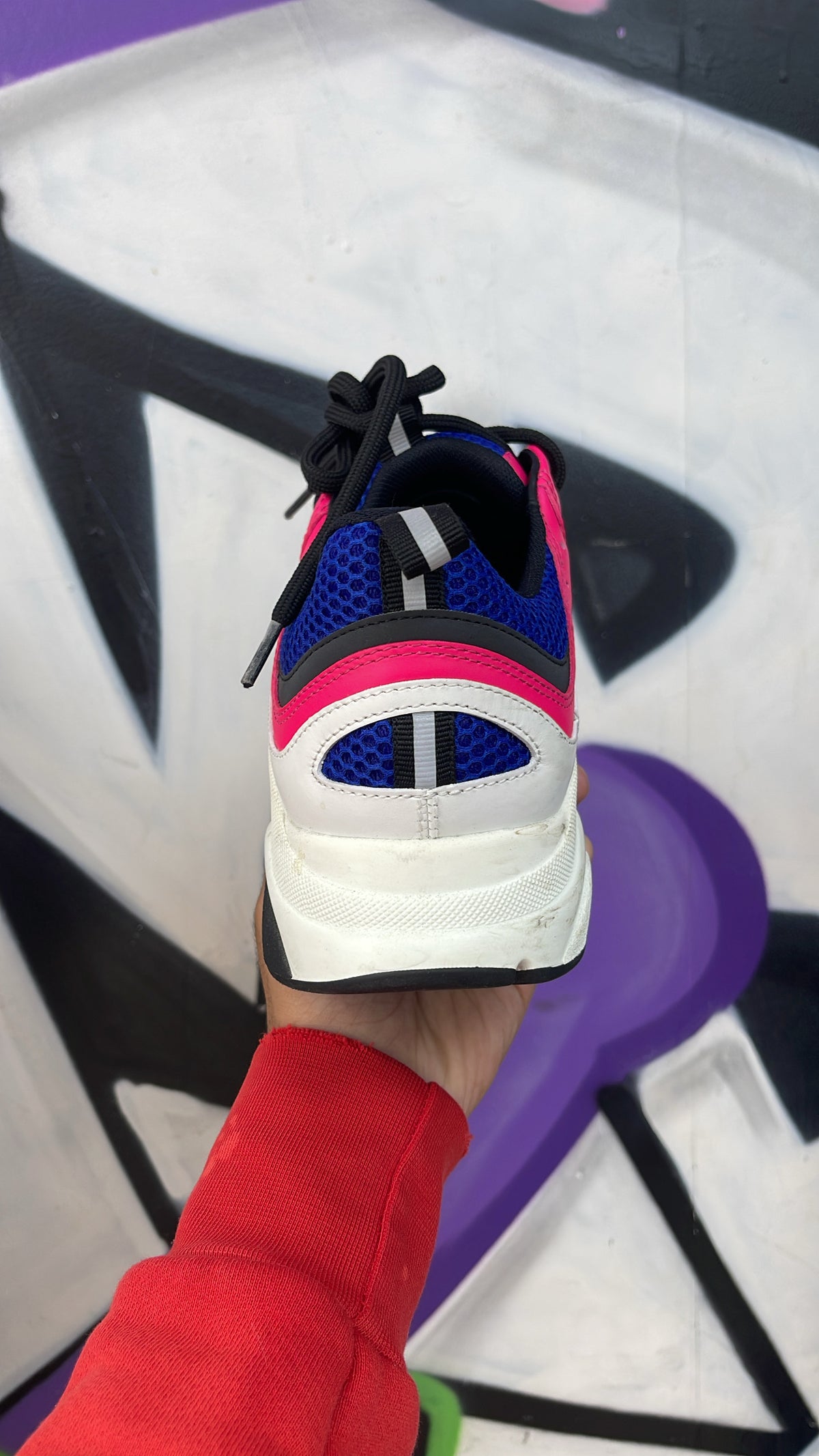 Dior Navy Pink B22 Sneakers