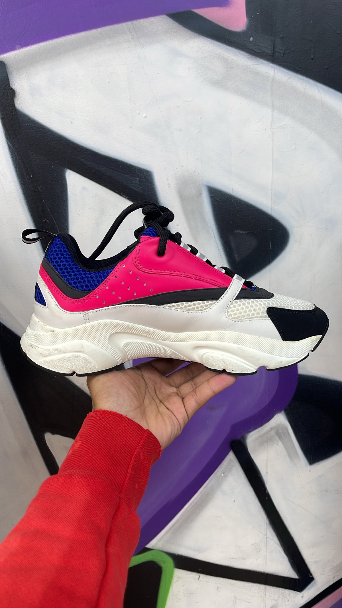 Dior Navy Pink B22 Sneakers