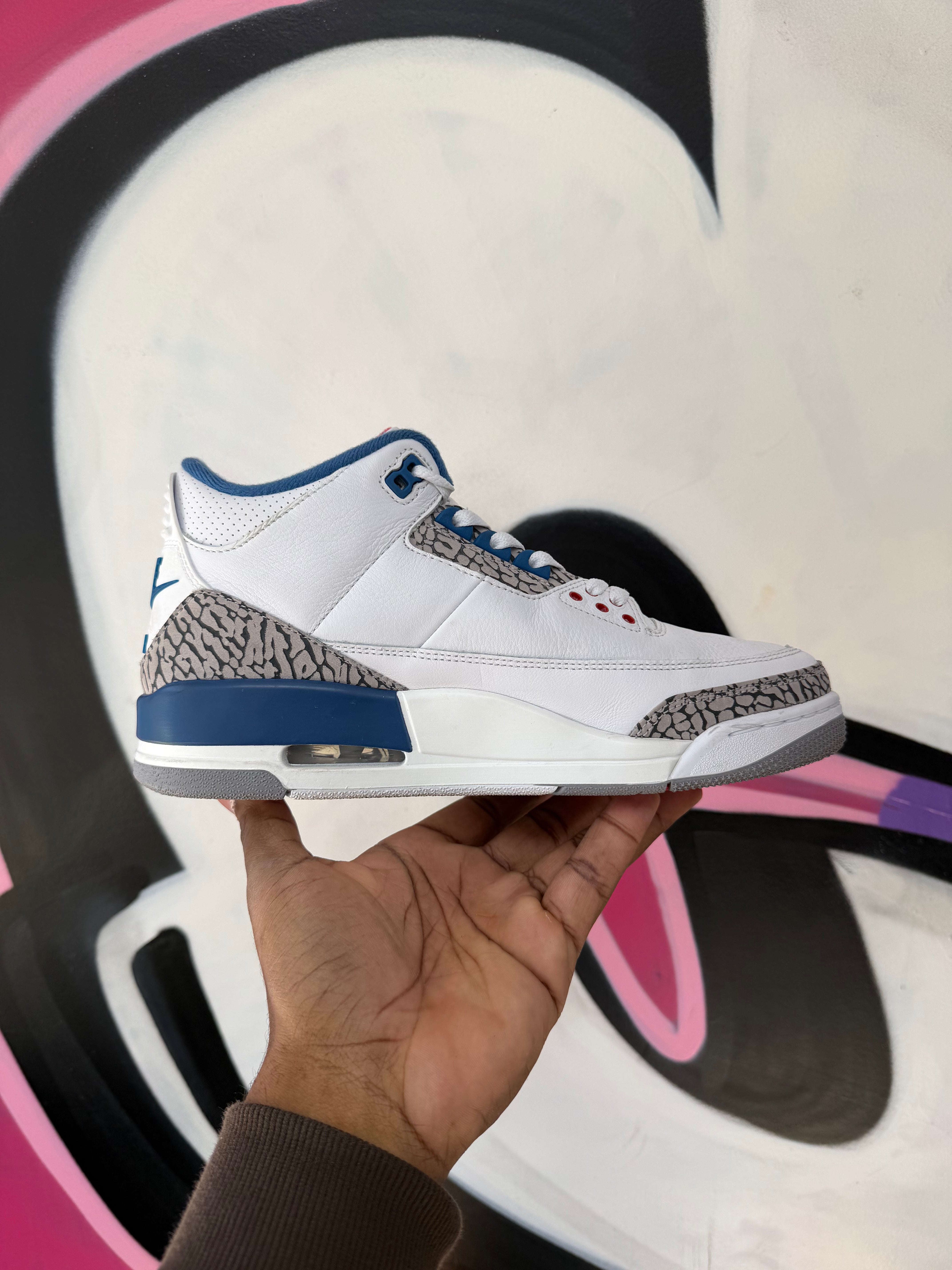 Jordan 3 True Blue Sneakers