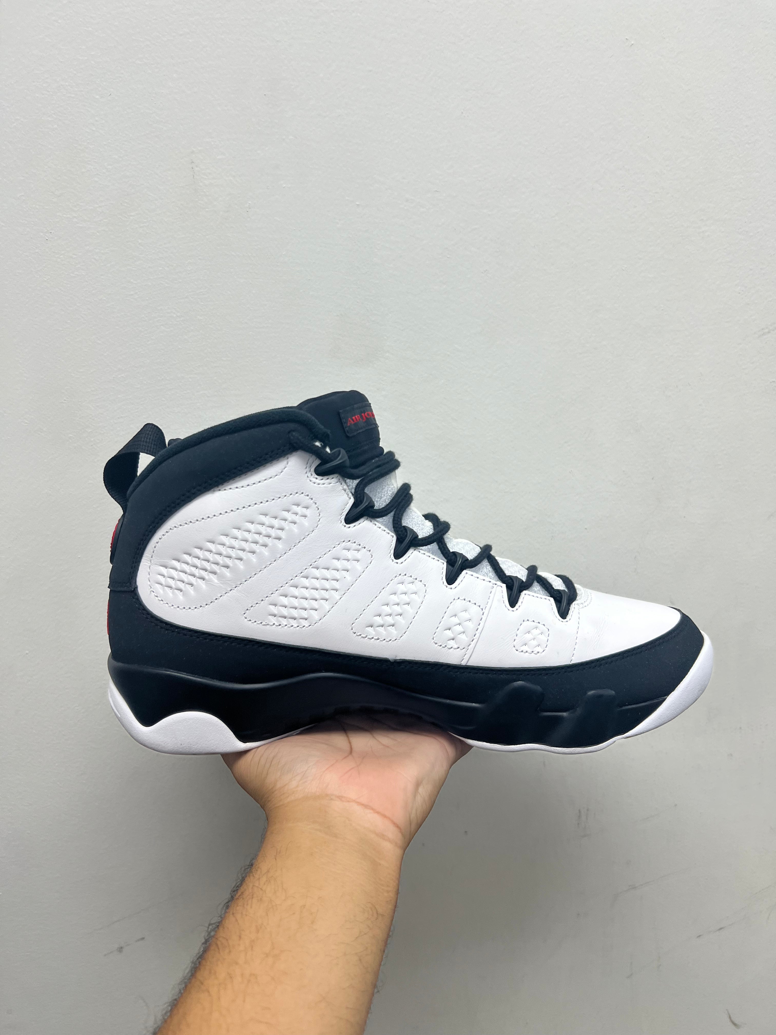 NIke Jordan 9 Space Jam Sneakers