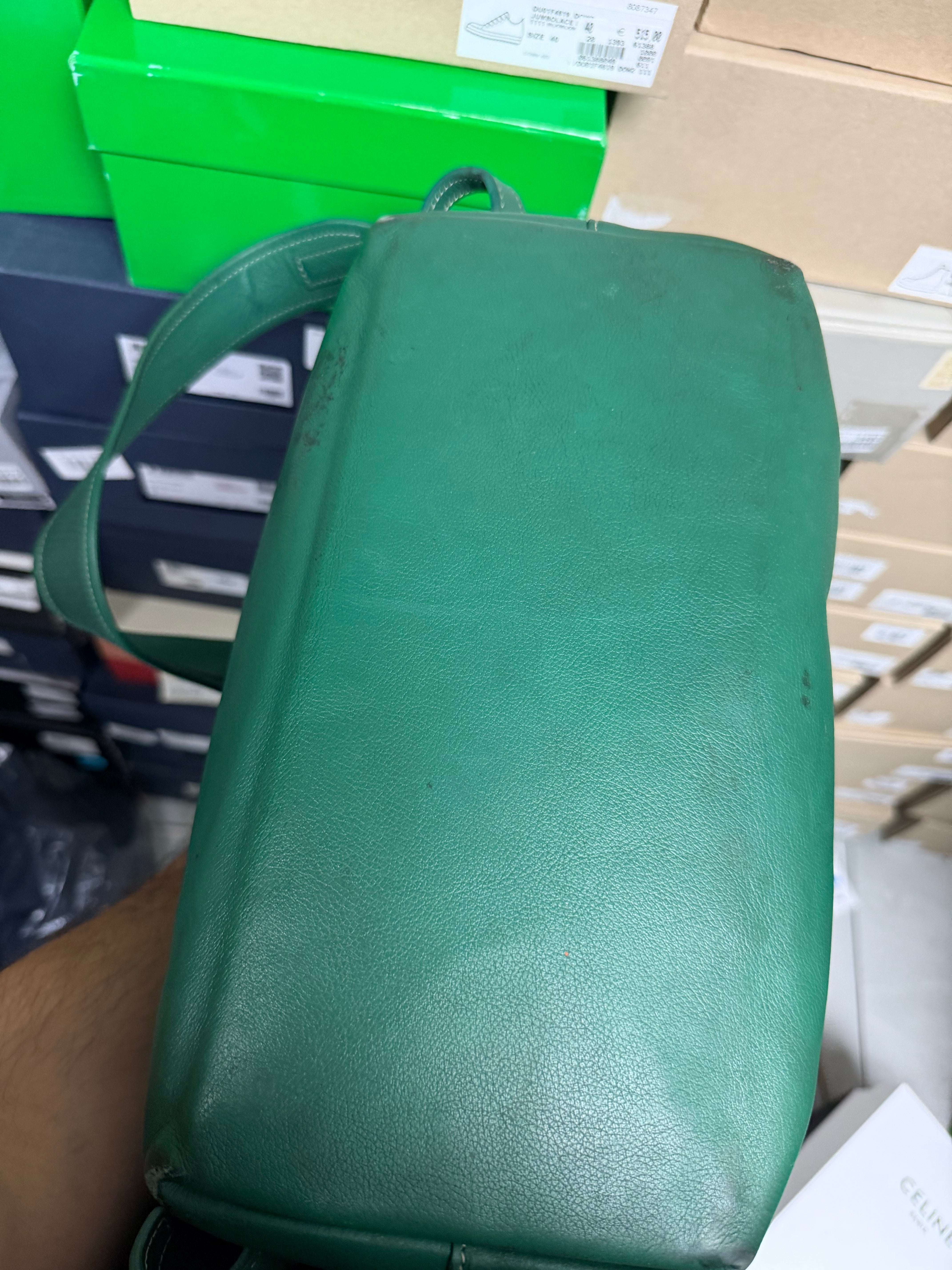 Goyard Green Cisalpin Backpack