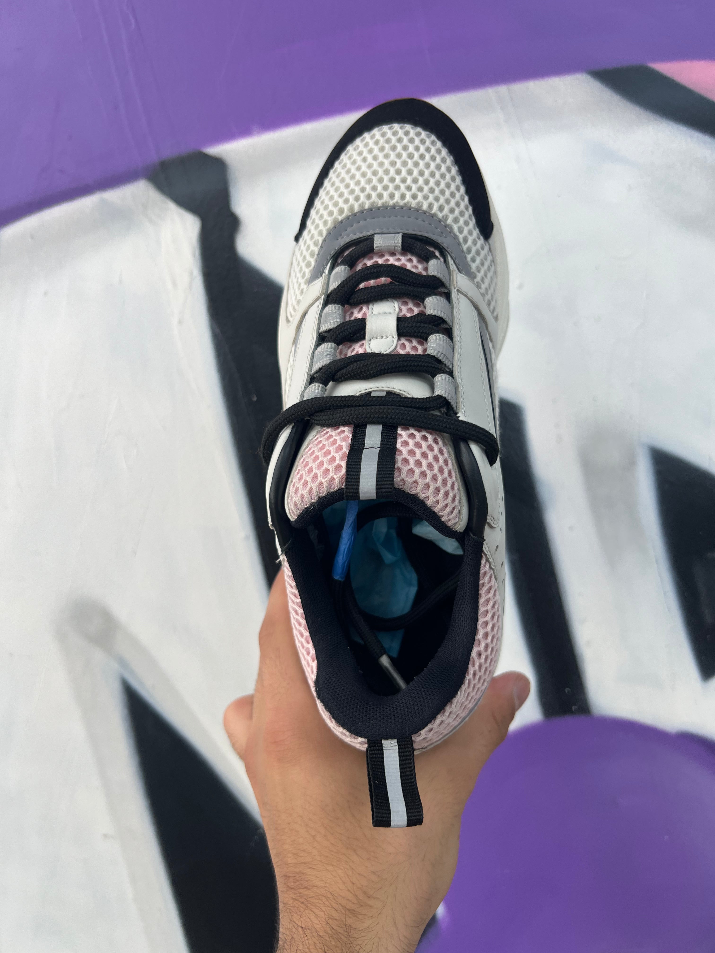 Dior B22 Pink Gum Sneakers