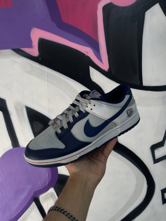 Nike Dunk Low Nets Sneakers