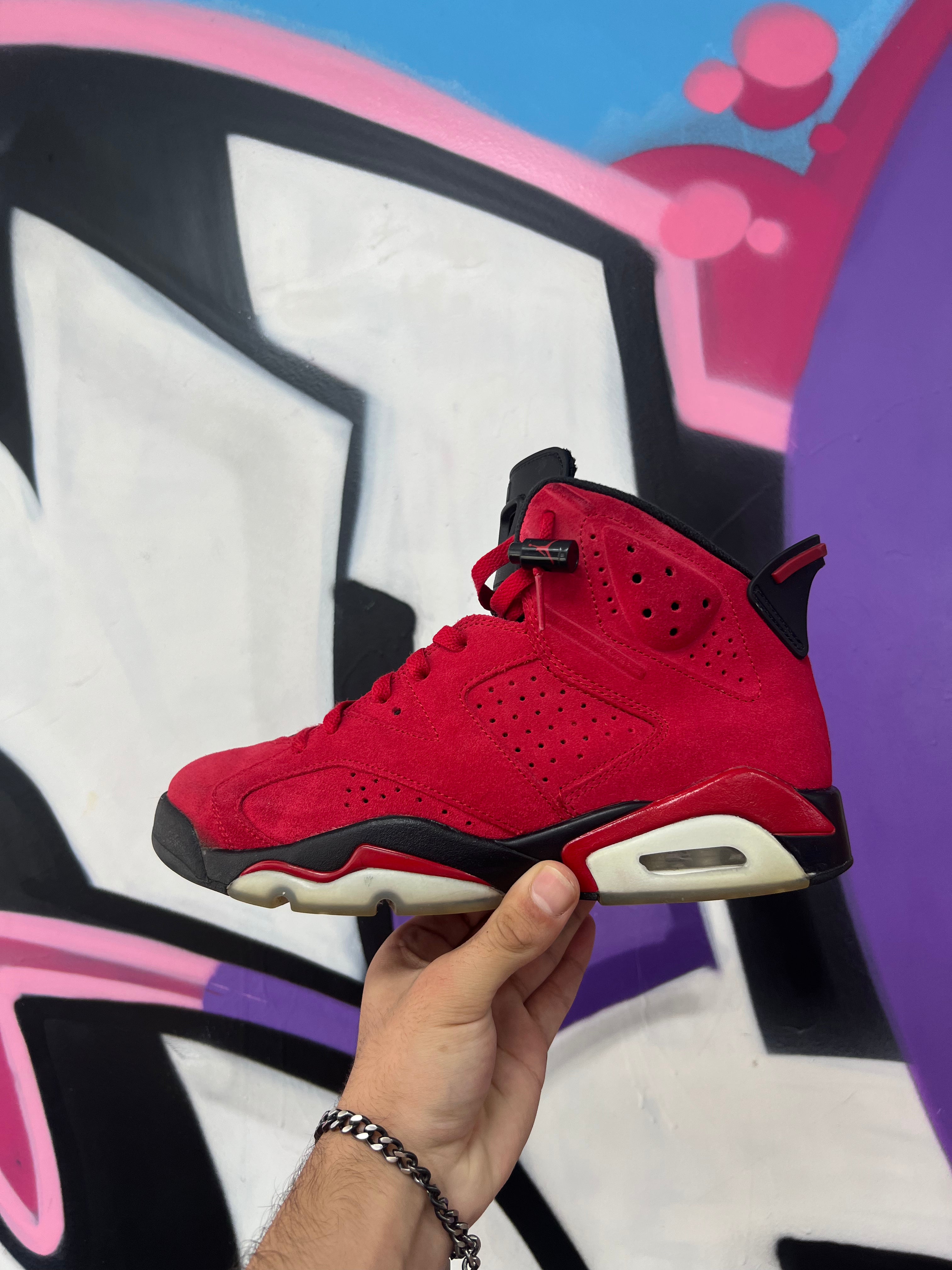 Jordan 6 Toro Sneakers