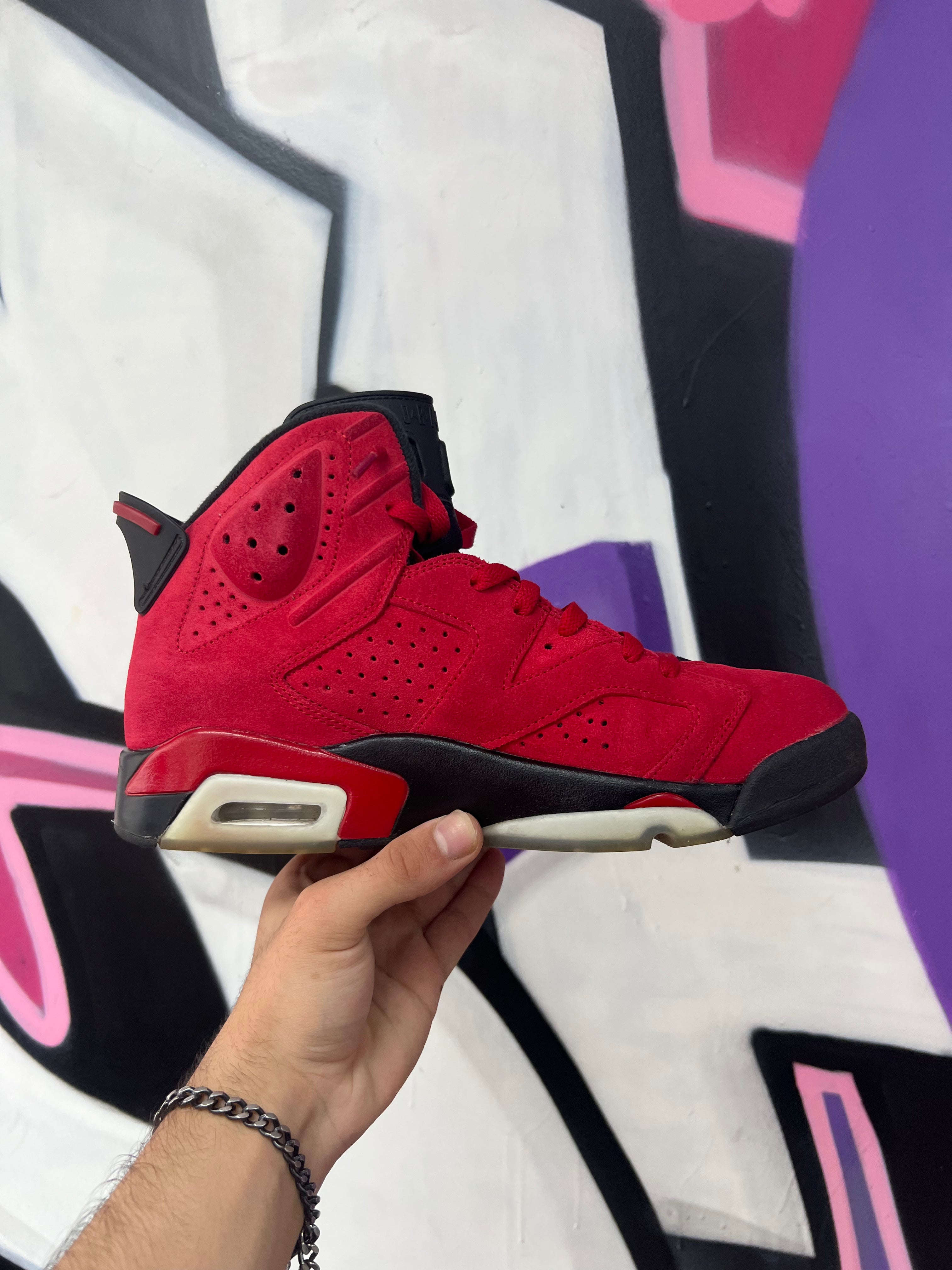 Jordan 6 Toro Sneakers