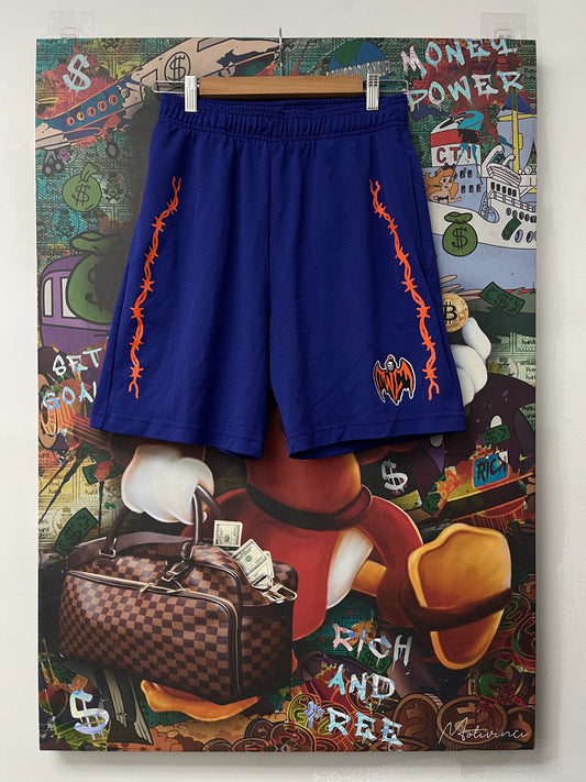 Warren Lotas Mesh Shorts Purple Orange Used Small