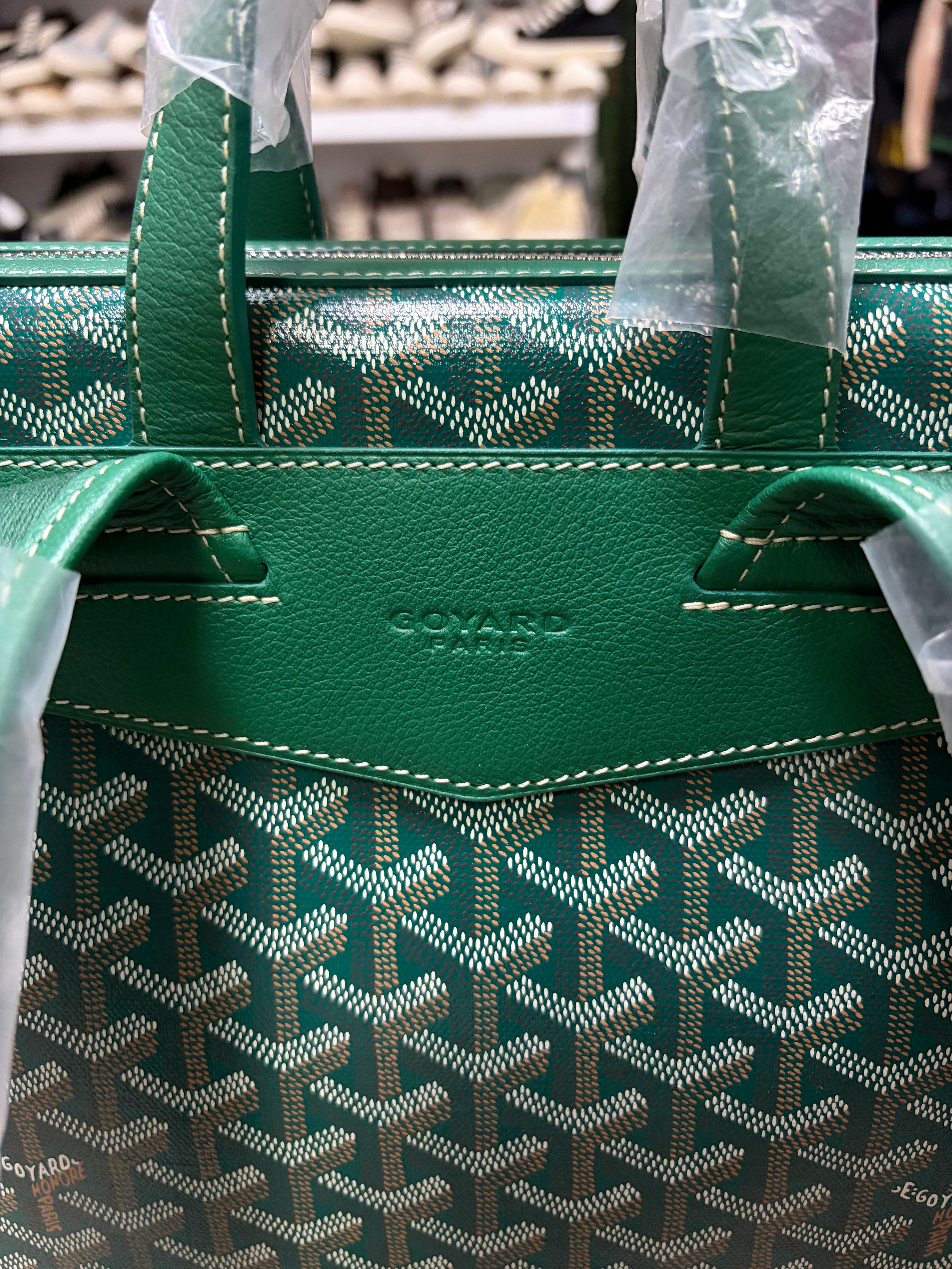 Goyard Green Cisalpin Backpack