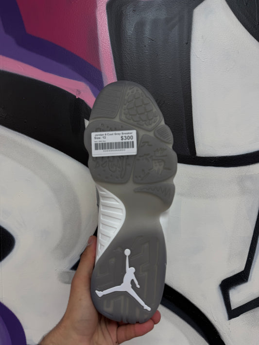 Jordan 9 Cool Grey Sneaker